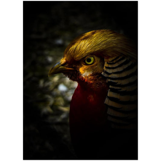 aa118933-86a2-4481-b5ed-4e9994065034