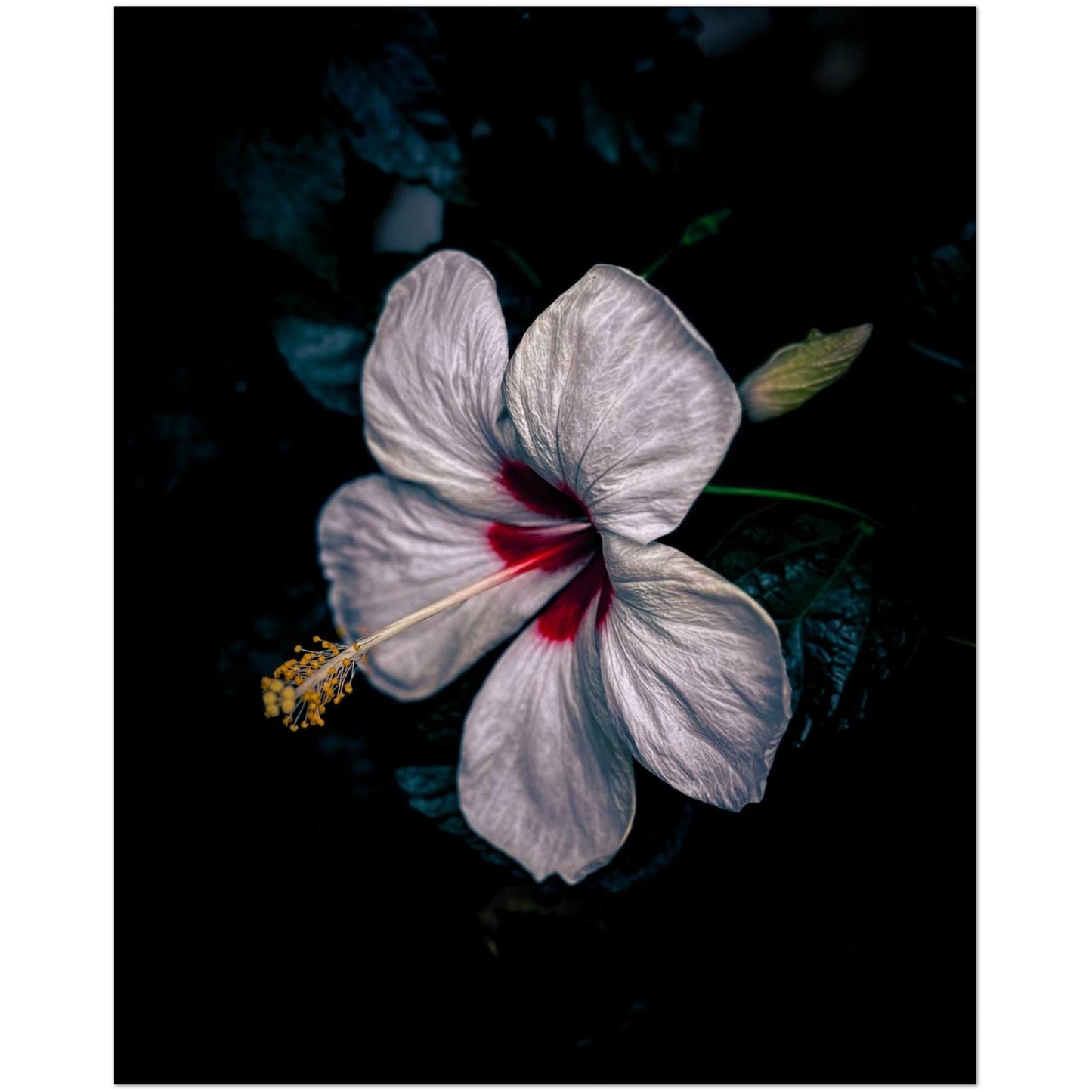 aa275265-a2a0-44d2-9ac2-beafab249f38