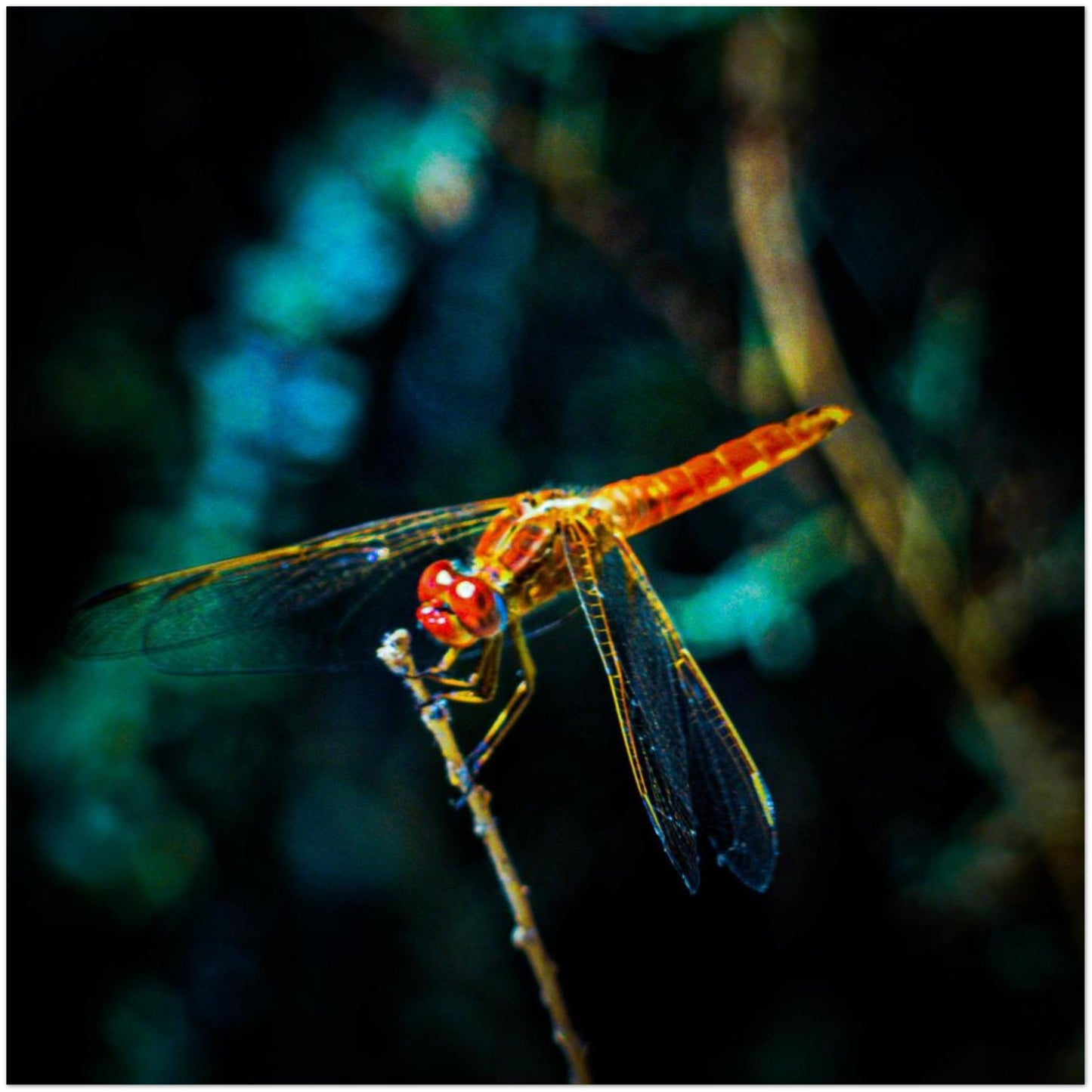 abb330b3-bc13-475d-9766-bcfe26a224b7