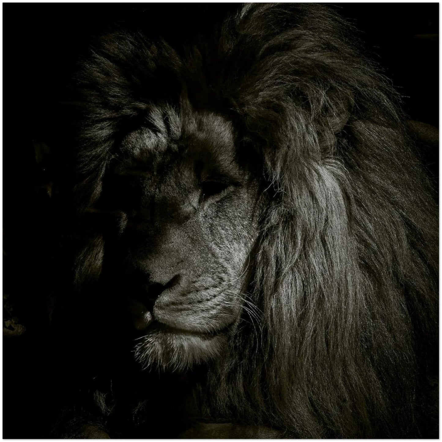 ac0d7a1b-27d0-459c-8553-d35f4a5055ce