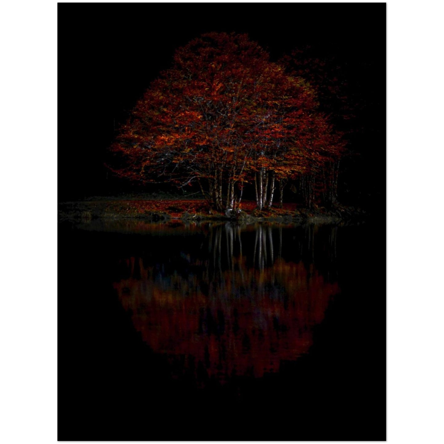 ac41552a-1294-4180-9af6-9bd557207f00