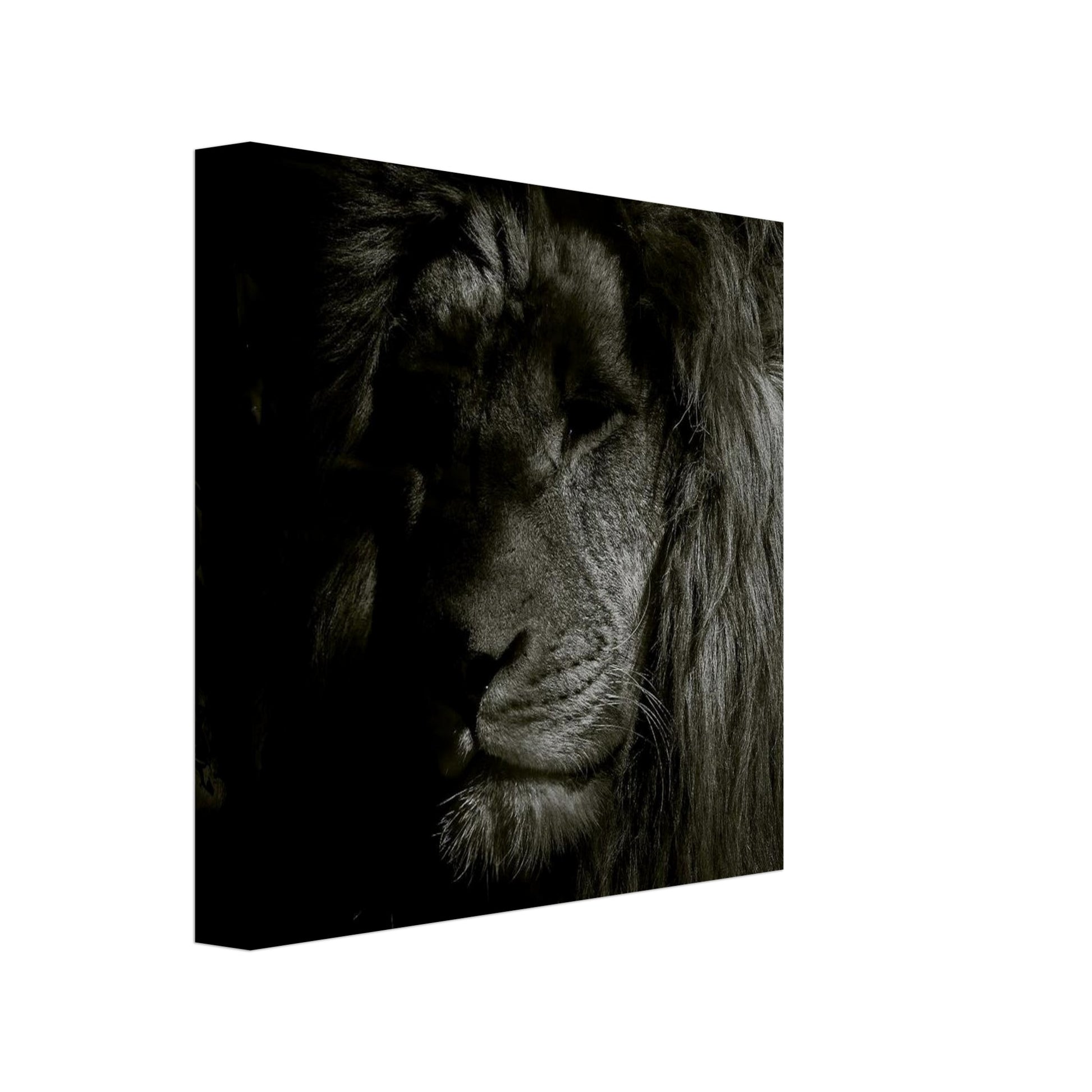 acb2abb4-f50e-47b1-83ad-9c35592d9ceb