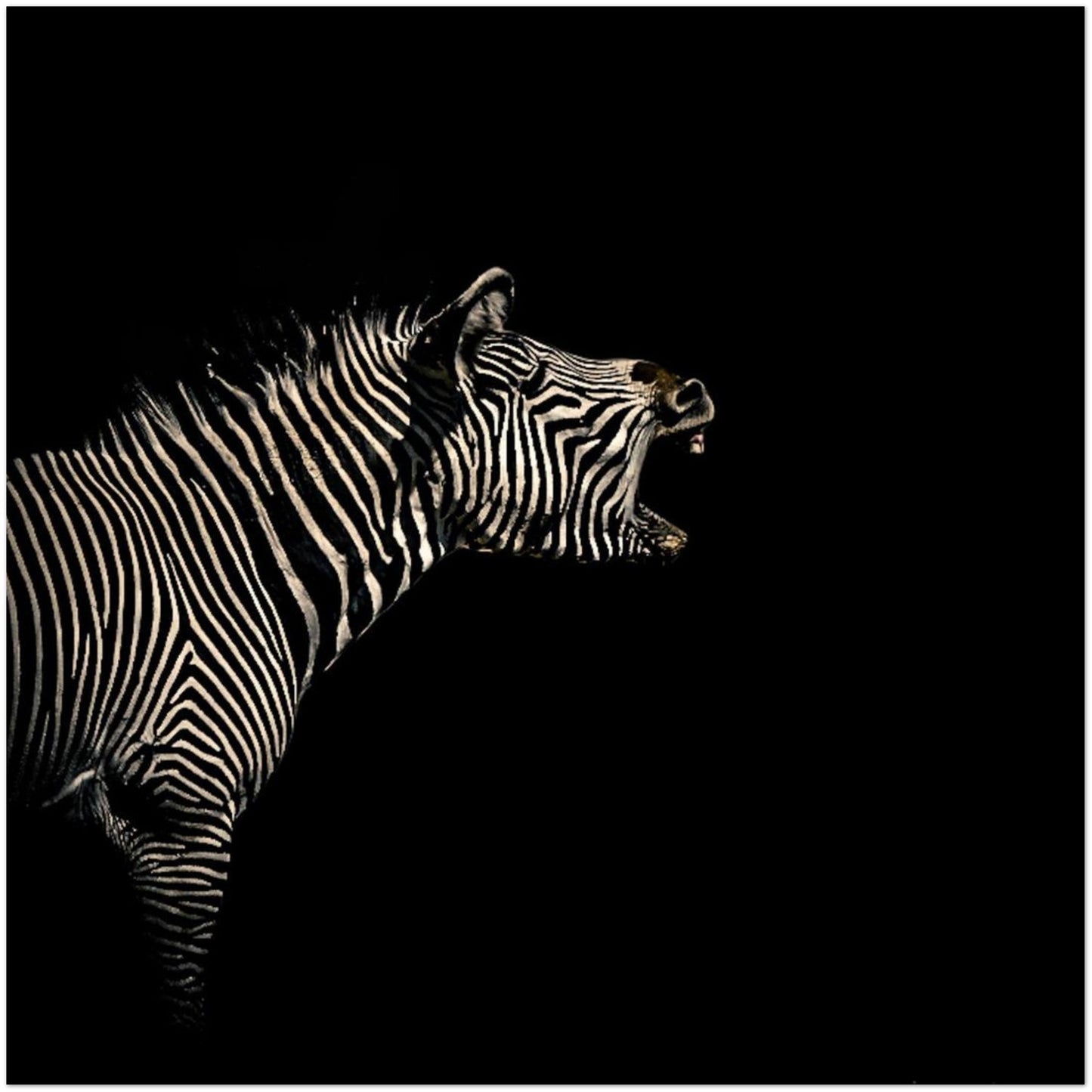 ae89049c-ab83-4595-a793-d9f342612e83