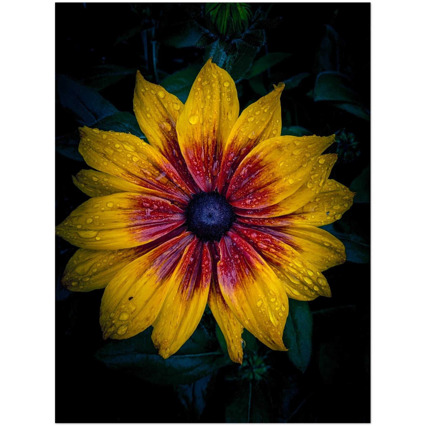 b040cd6b-18bf-4d6b-a9d9-f0cf38104542