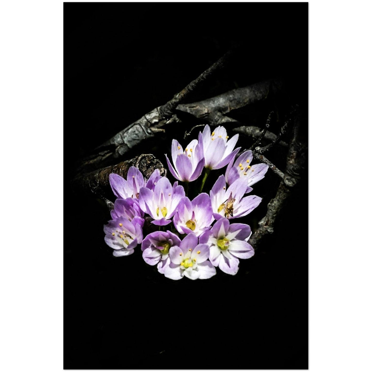 b389ca24-c535-4c4c-9f97-022ea85436e6