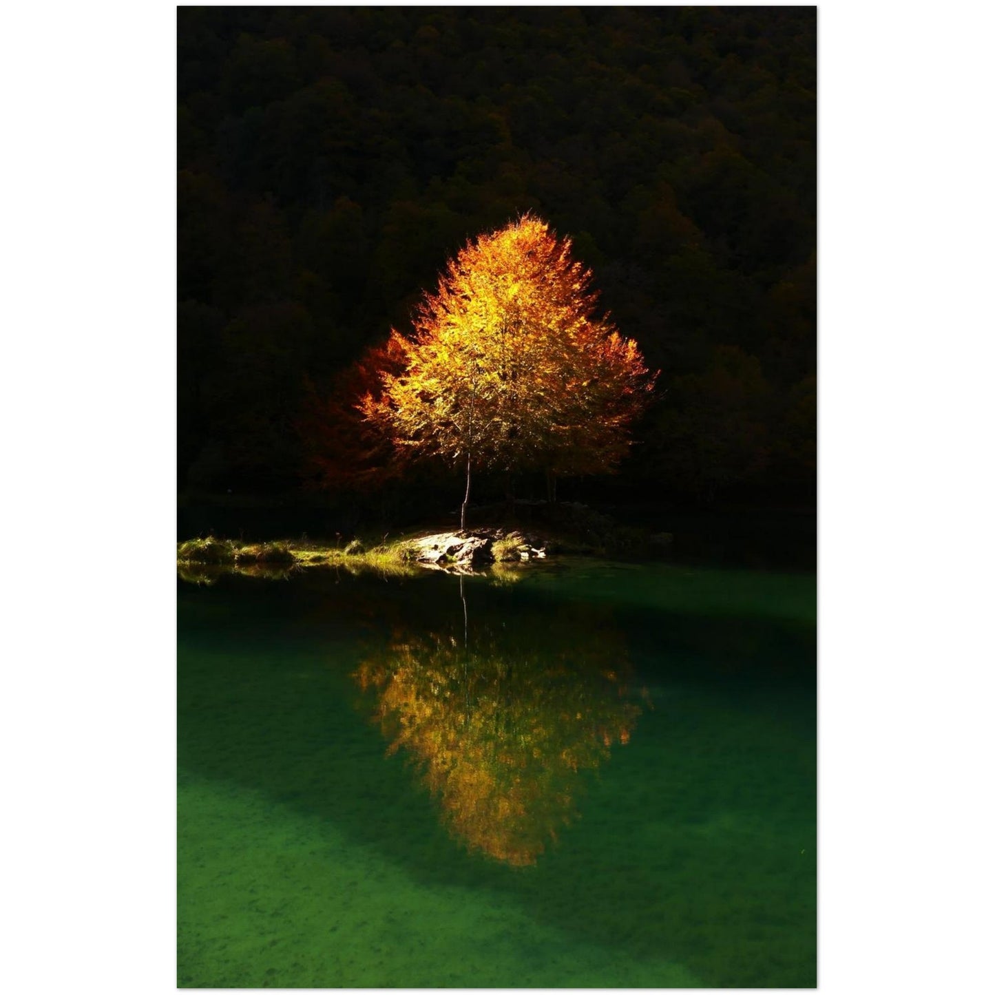 b5452b35-23d5-40fa-866a-72314a924374