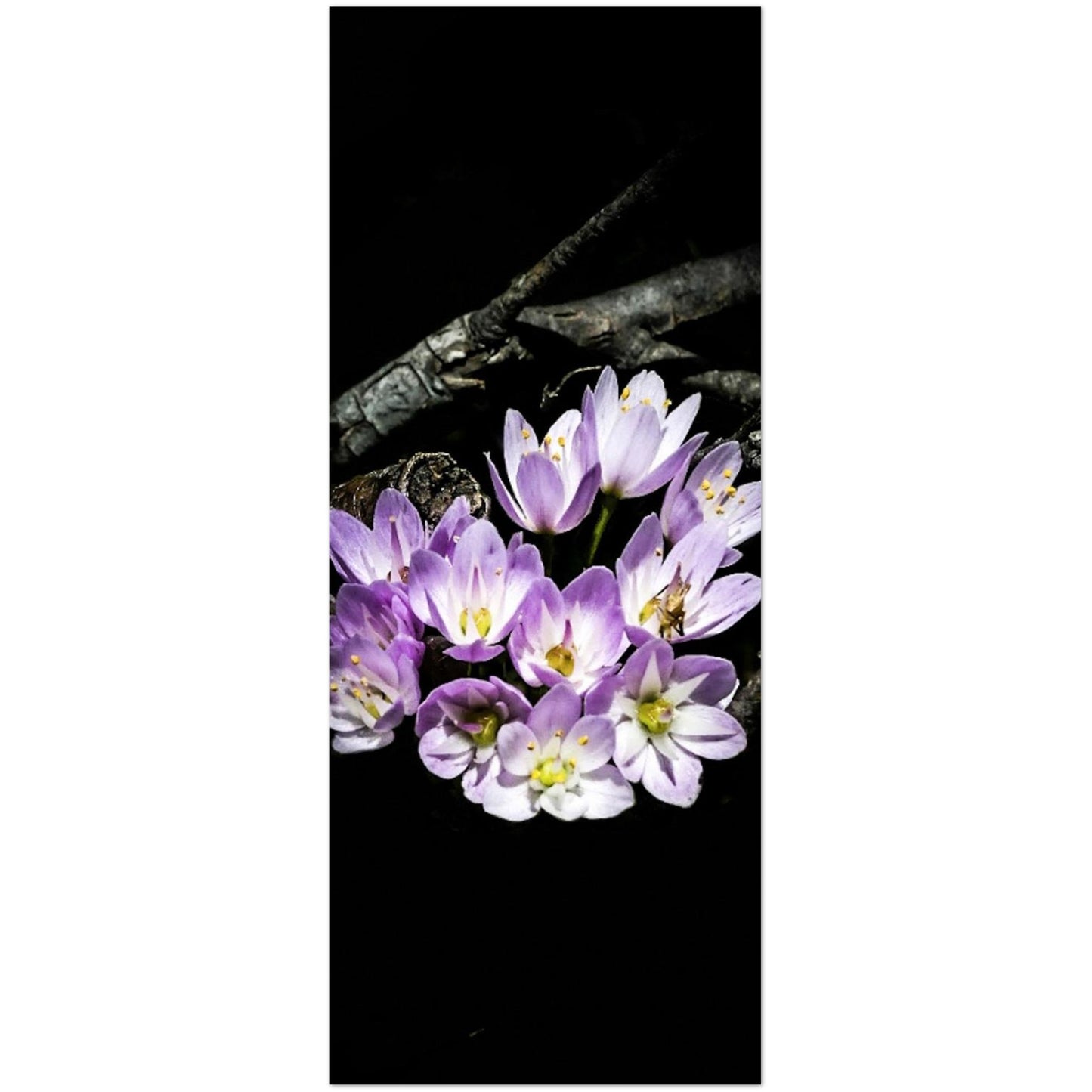 b57dcf20-c4e7-4ea6-bbd9-e84f6b92f371