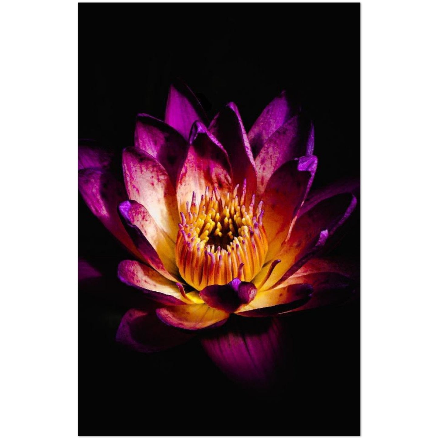 b5fc457c-ff77-4f8b-94f6-f9439136ecc9