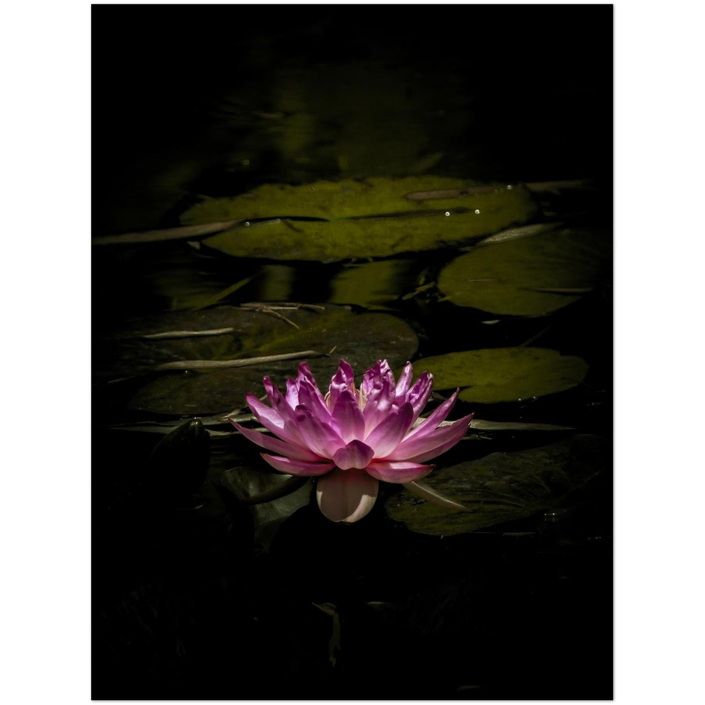 b6d6bbc4-46de-4f55-b281-3af4a135cb67