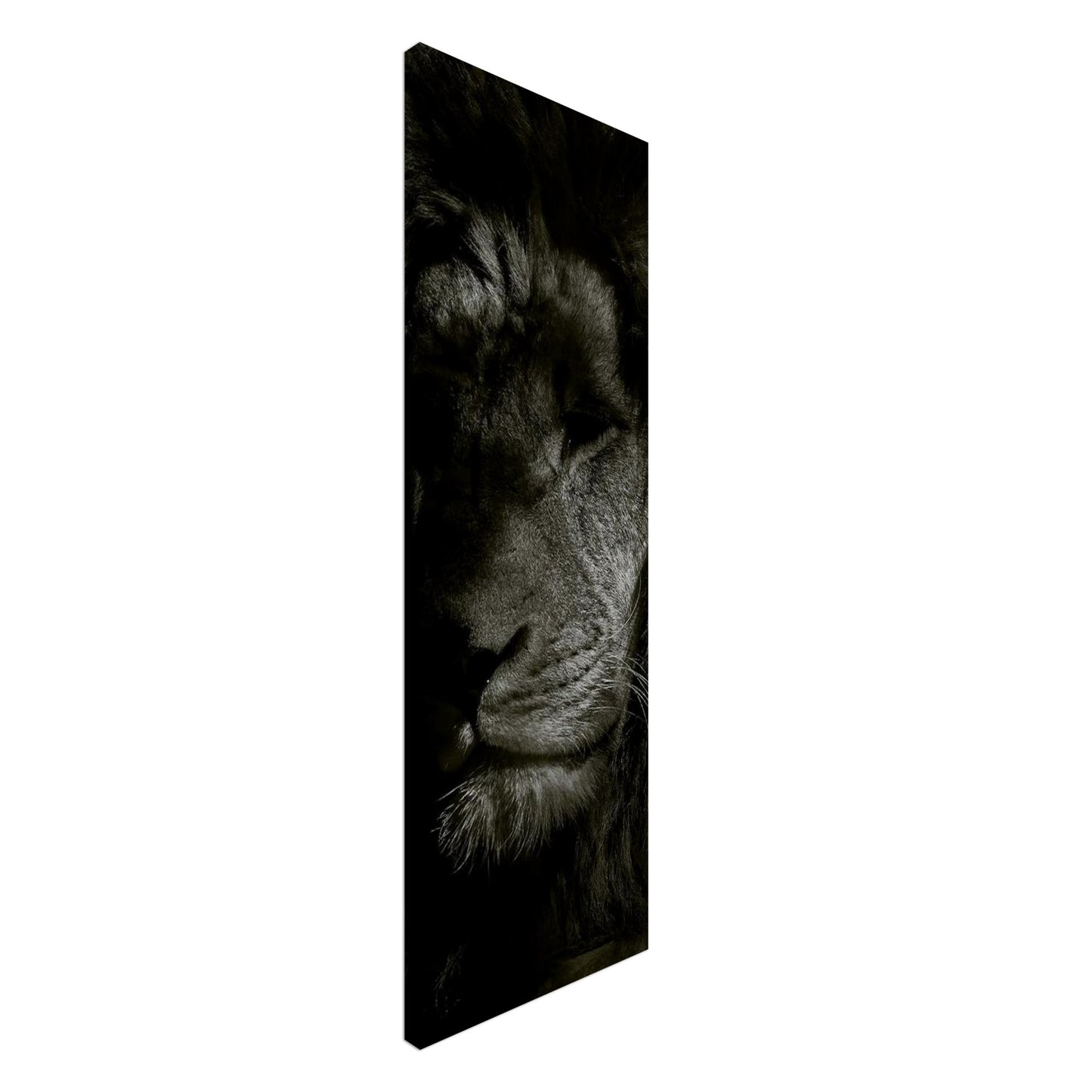 b811ab33-94b9-4e89-9da6-850577794834