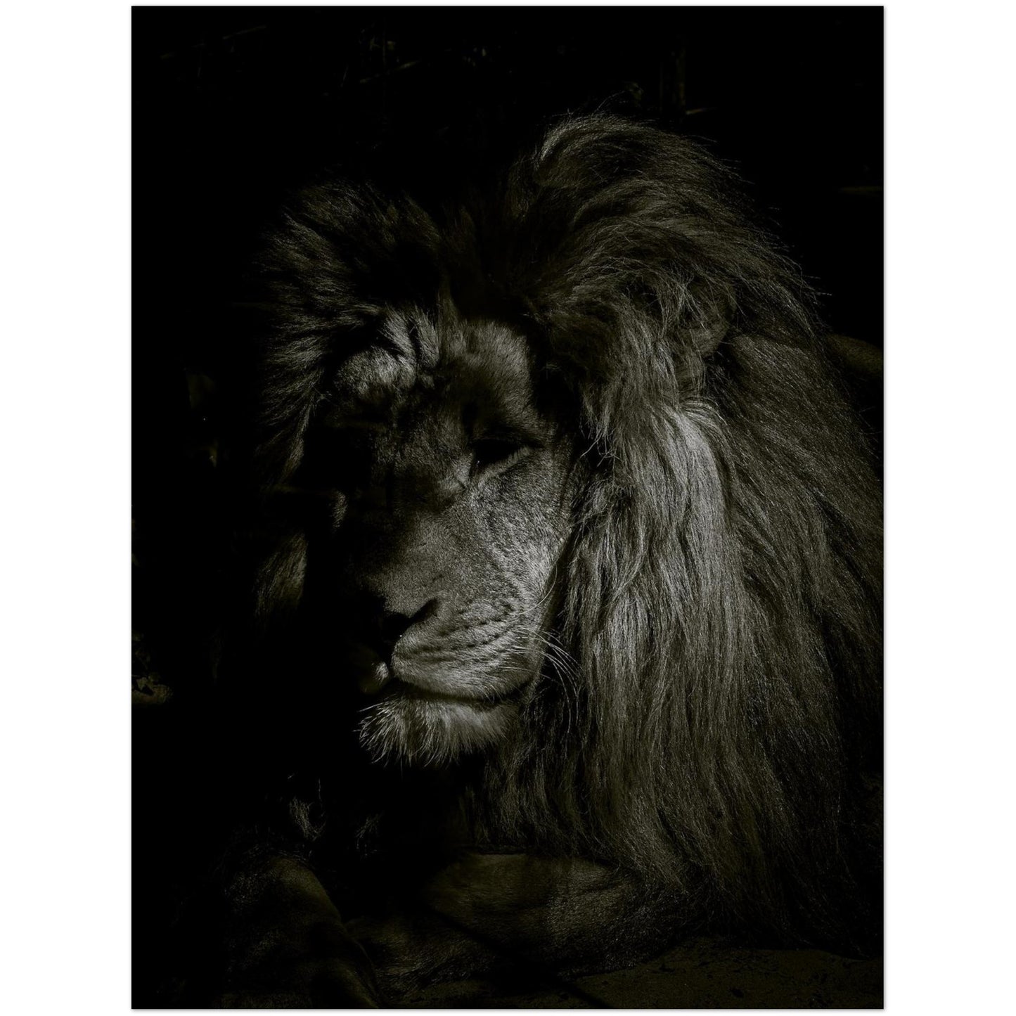 bbc4fa7d-13de-453f-af97-917440544def