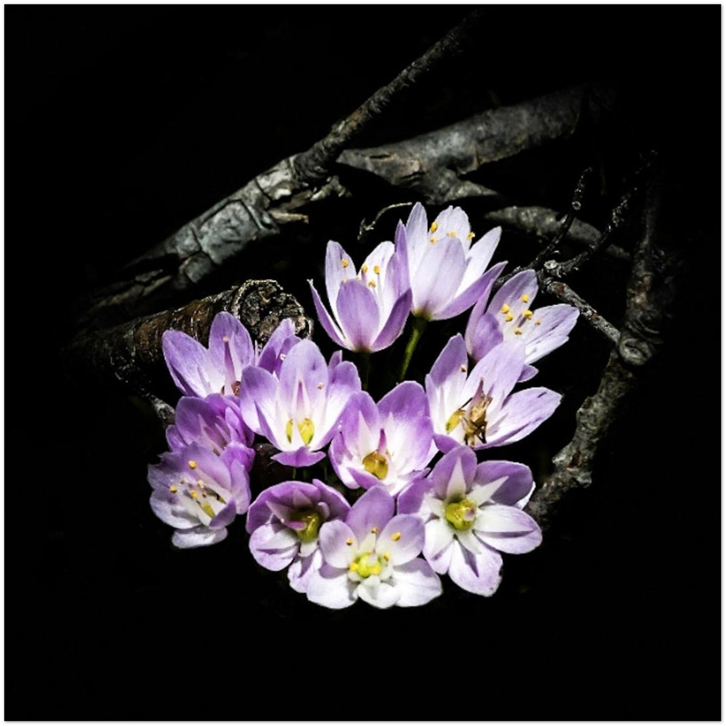 bd4974c9-e1bf-4a6a-a156-c1db15efe6f9