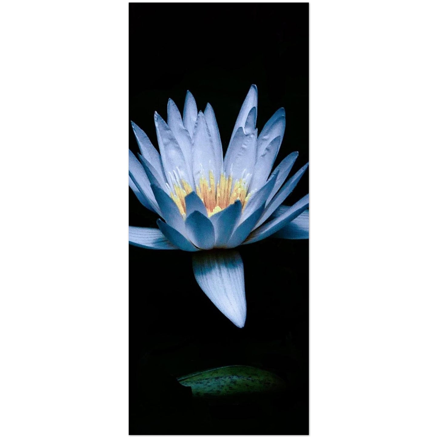 bd917afa-5a5c-48bb-af69-da51965e6853