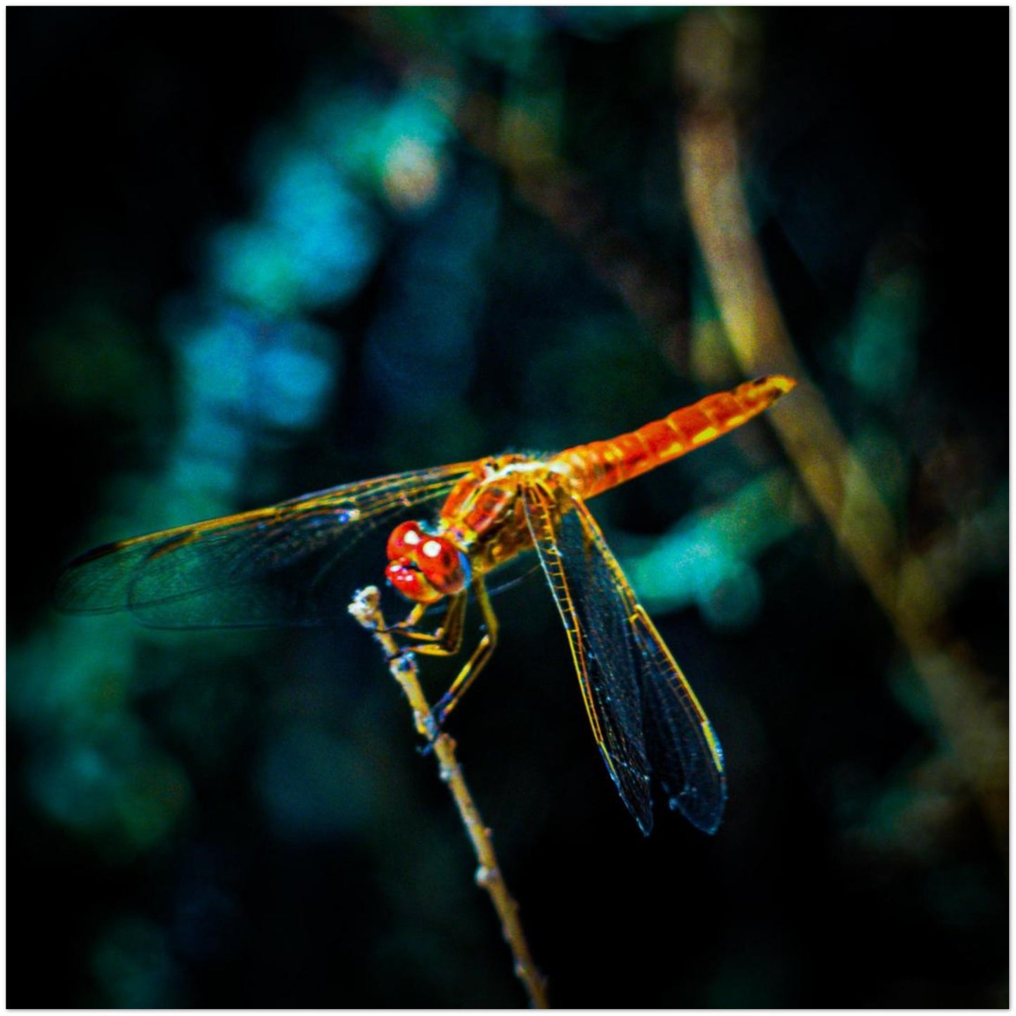 be6b96ea-daf6-4b1f-bd4b-555831071e2d