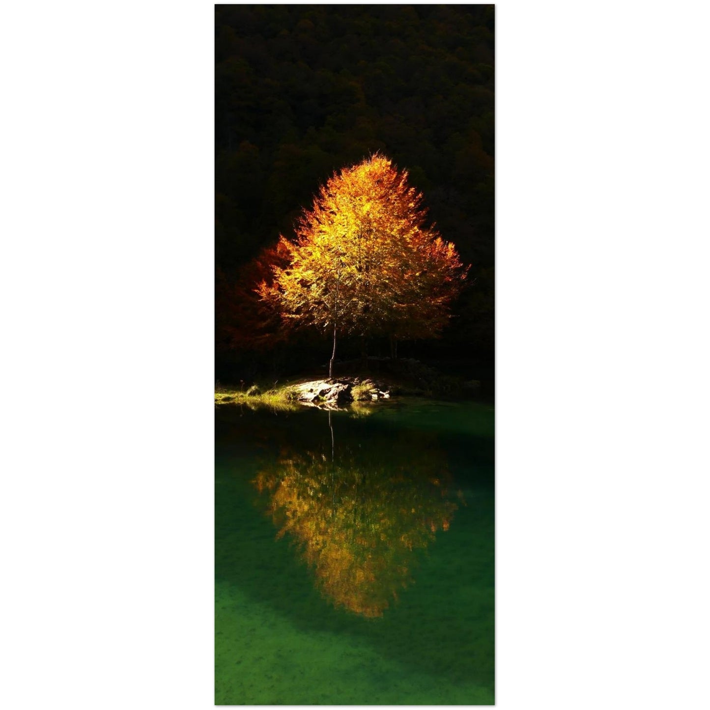 bec7417e-16b3-4783-851a-c2a255bde81e