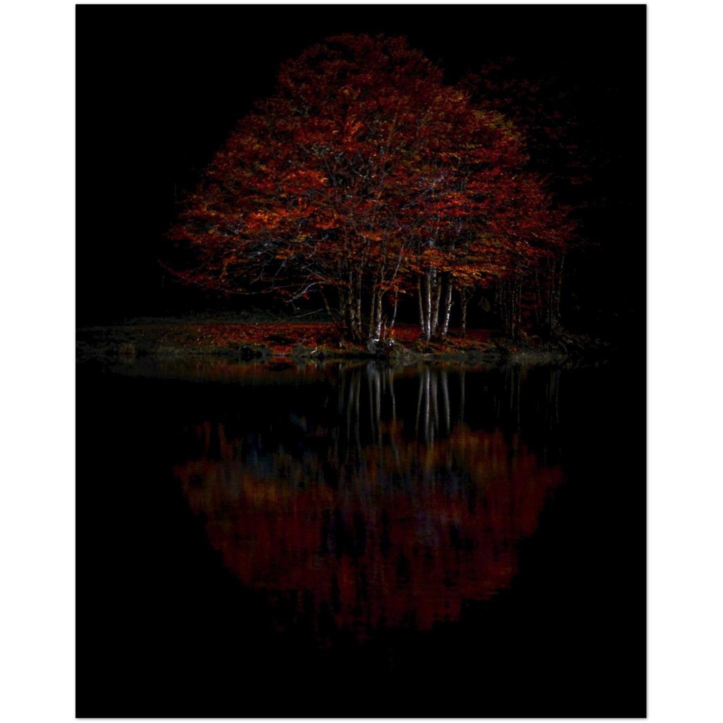 c01c3a4e-6865-4c36-b718-58fe4441137c