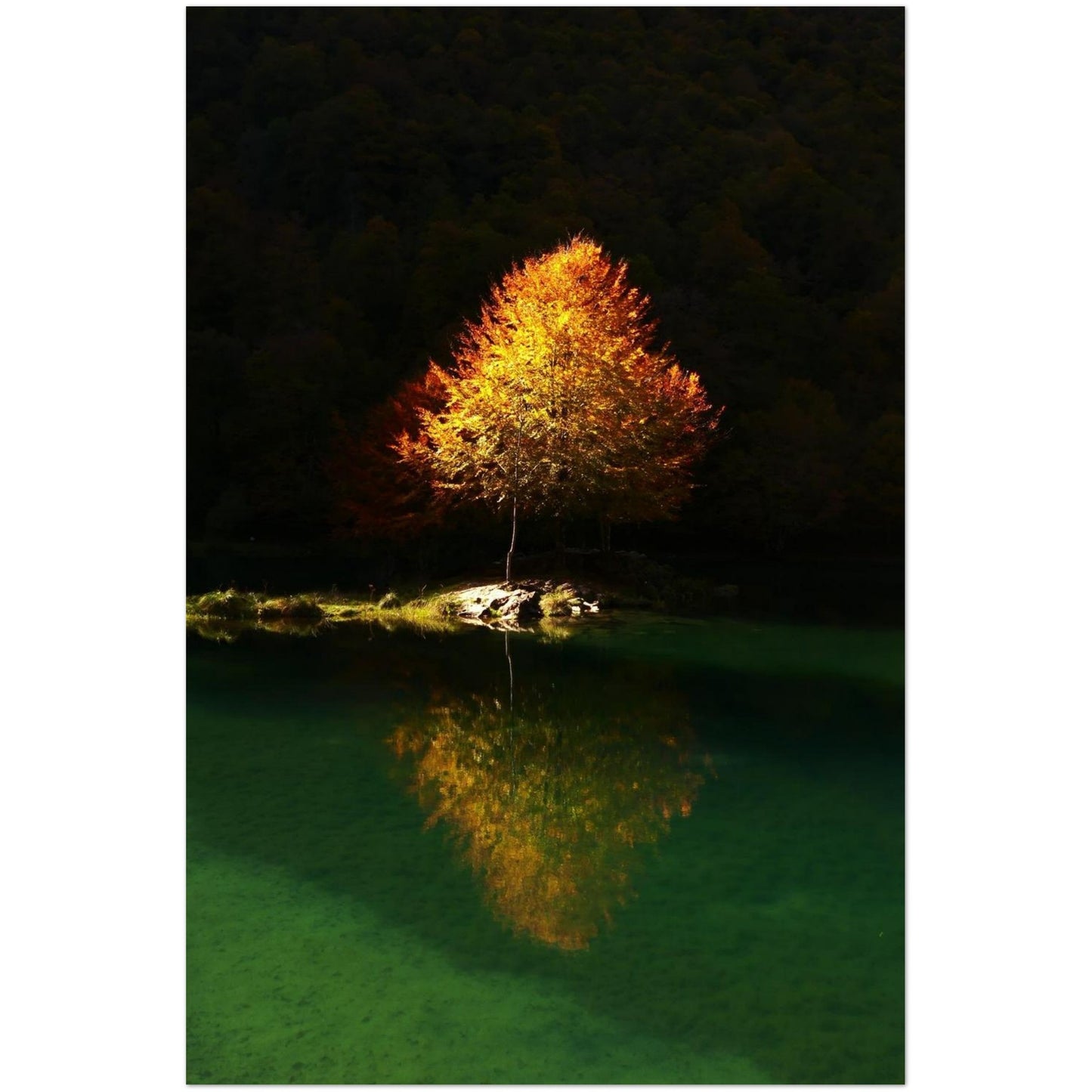 c1ac3c73-4c89-4db7-a7ef-049ef7ec5322