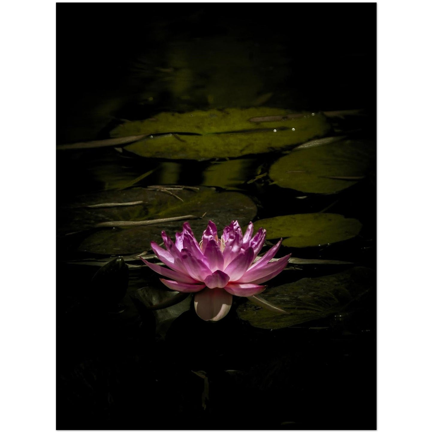 c3936faa-74f7-4979-b060-1e59dae9eb85