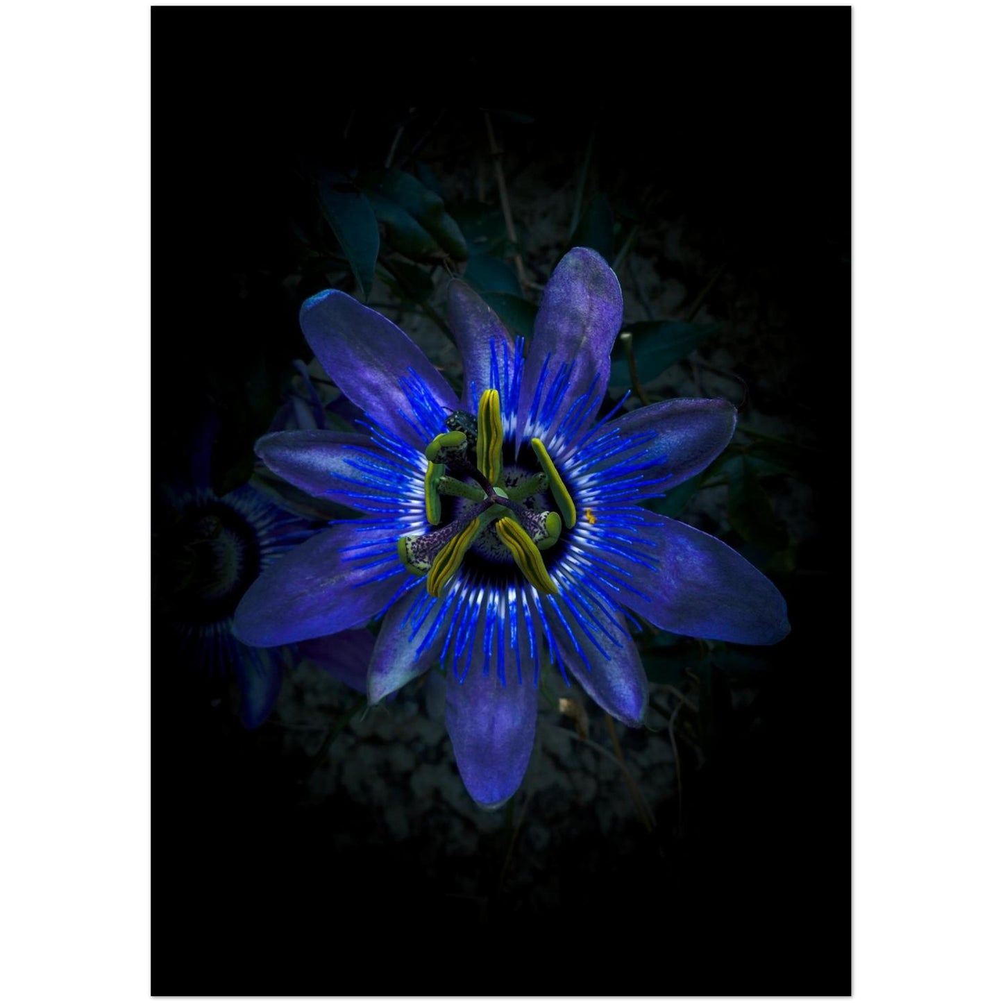 c4857e8c-b1c7-4985-9eb8-cfc589b25068