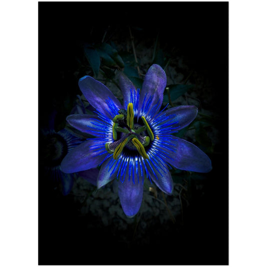 c6d8a521-6363-4c1d-9734-74cdc6edeed6