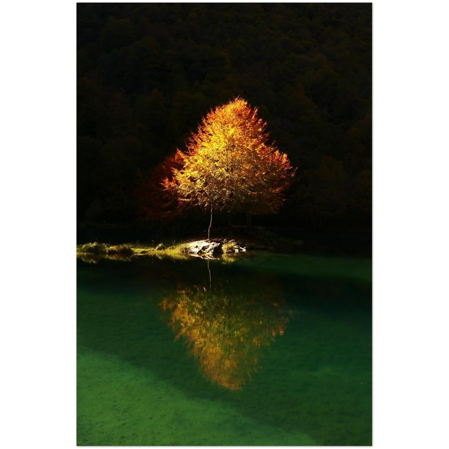 c8f07528-2962-44ae-a5e5-df98f6af1b47