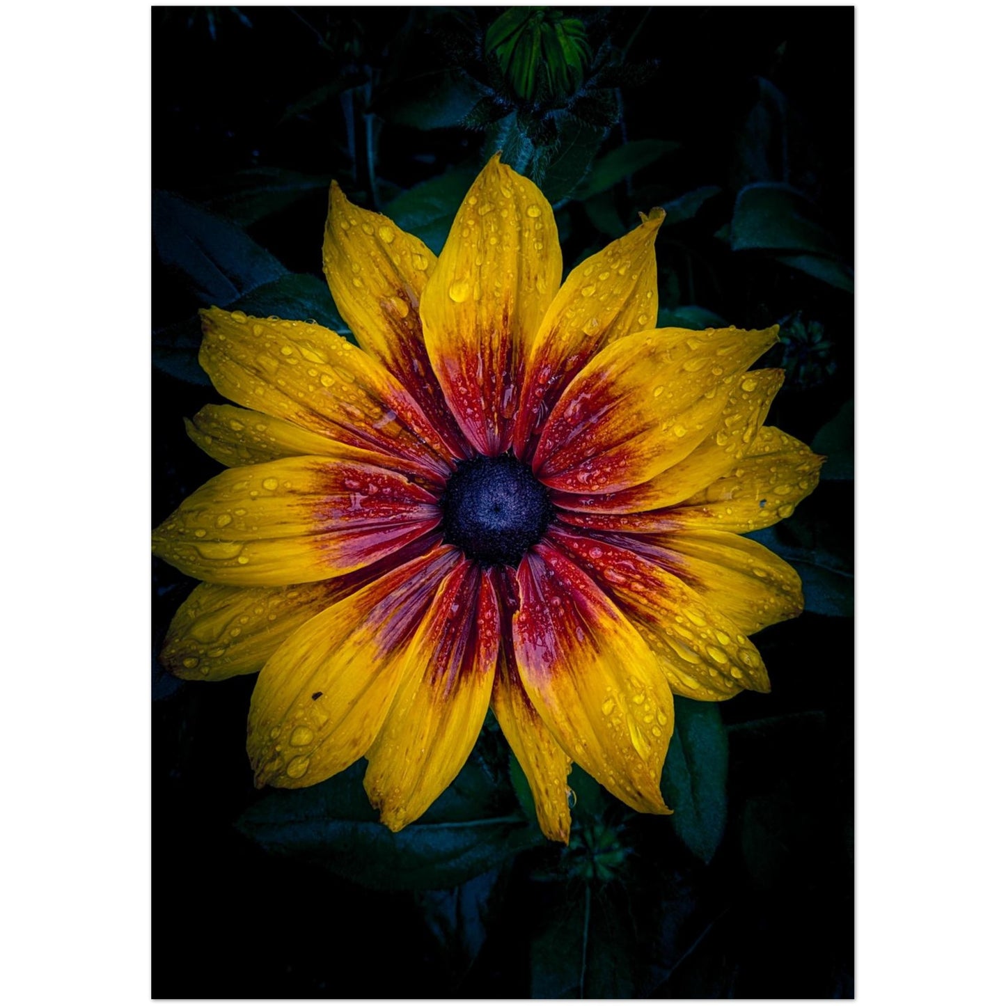 cb336bd7-9857-4209-98c5-ca41b4d094a1