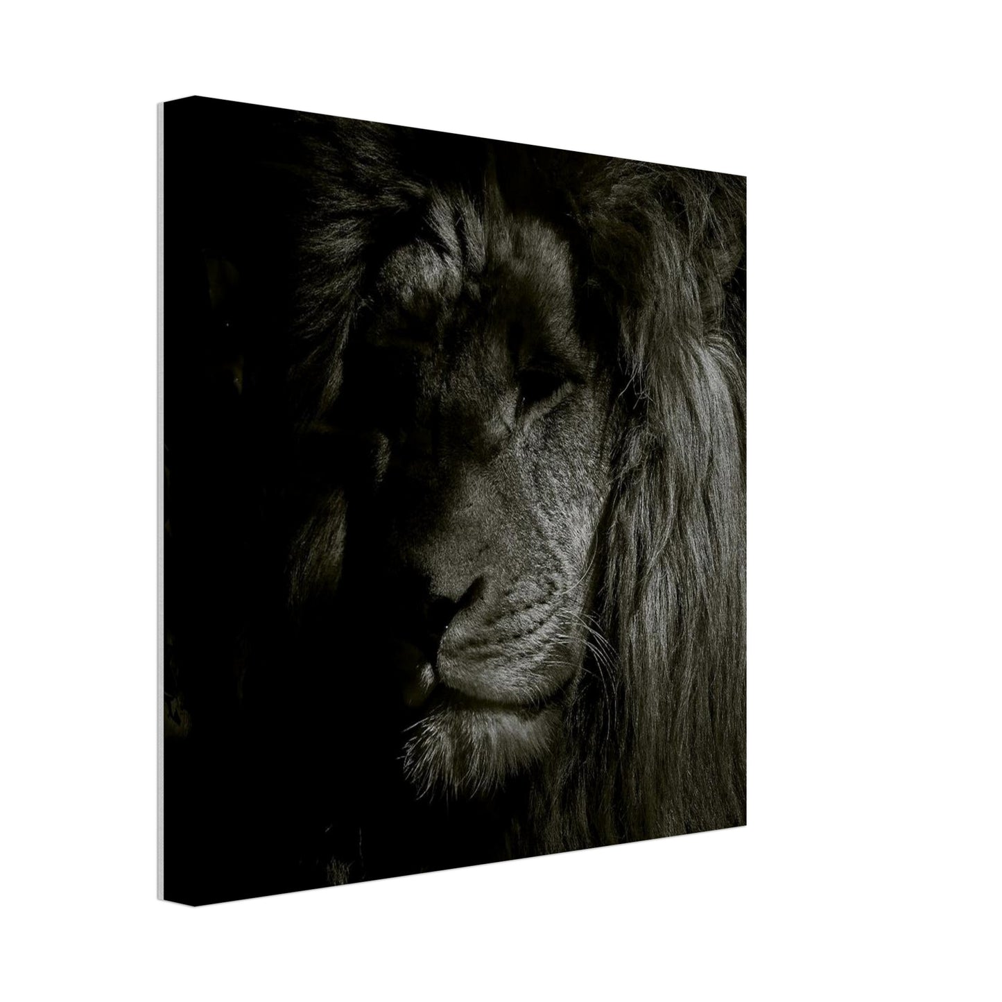 ceaed0a1-60d2-423b-b119-b98171f94452