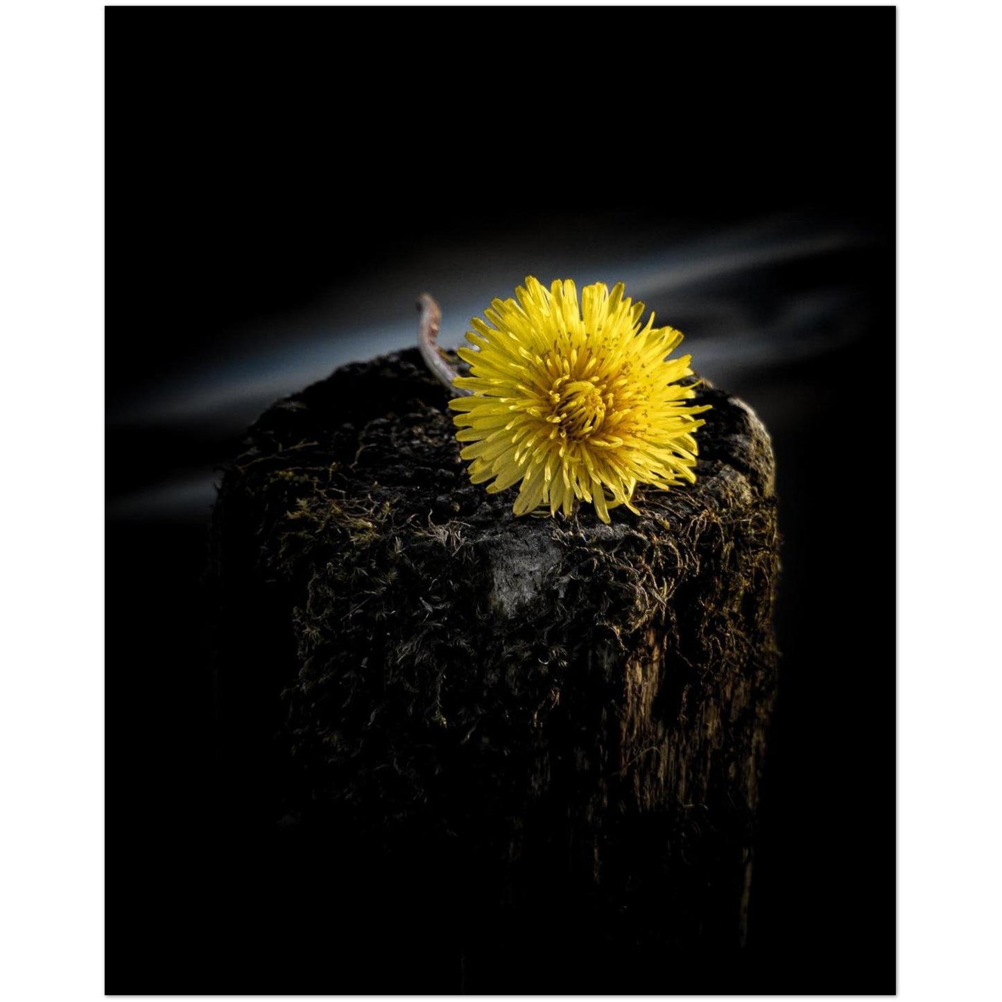 ced7b44d-7129-4b8c-a89b-f6897ce385a7