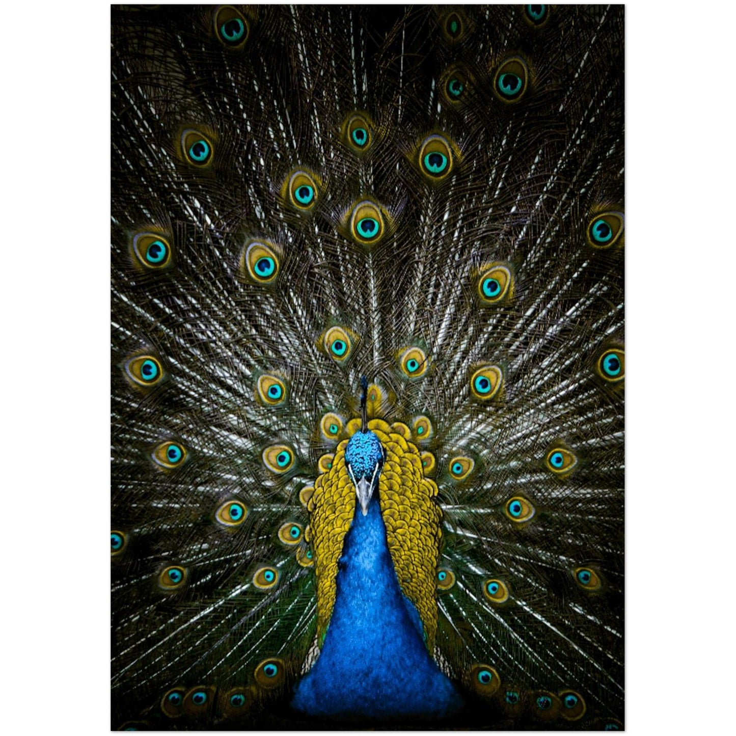 cef7b605-d52d-4830-a5ea-b844f332e1e8