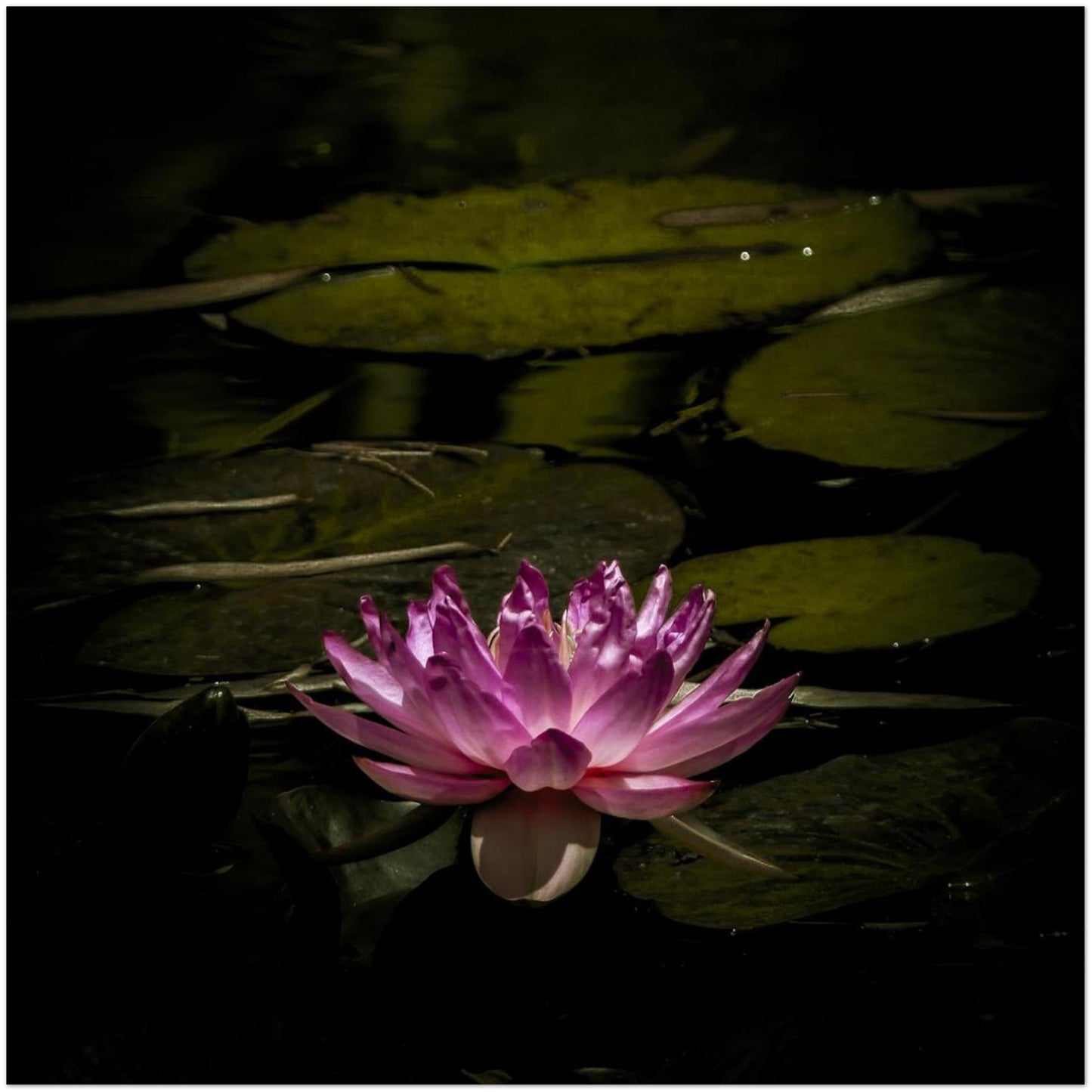 cf8ca6ee-8261-4dc4-a17f-969121e9a0e6