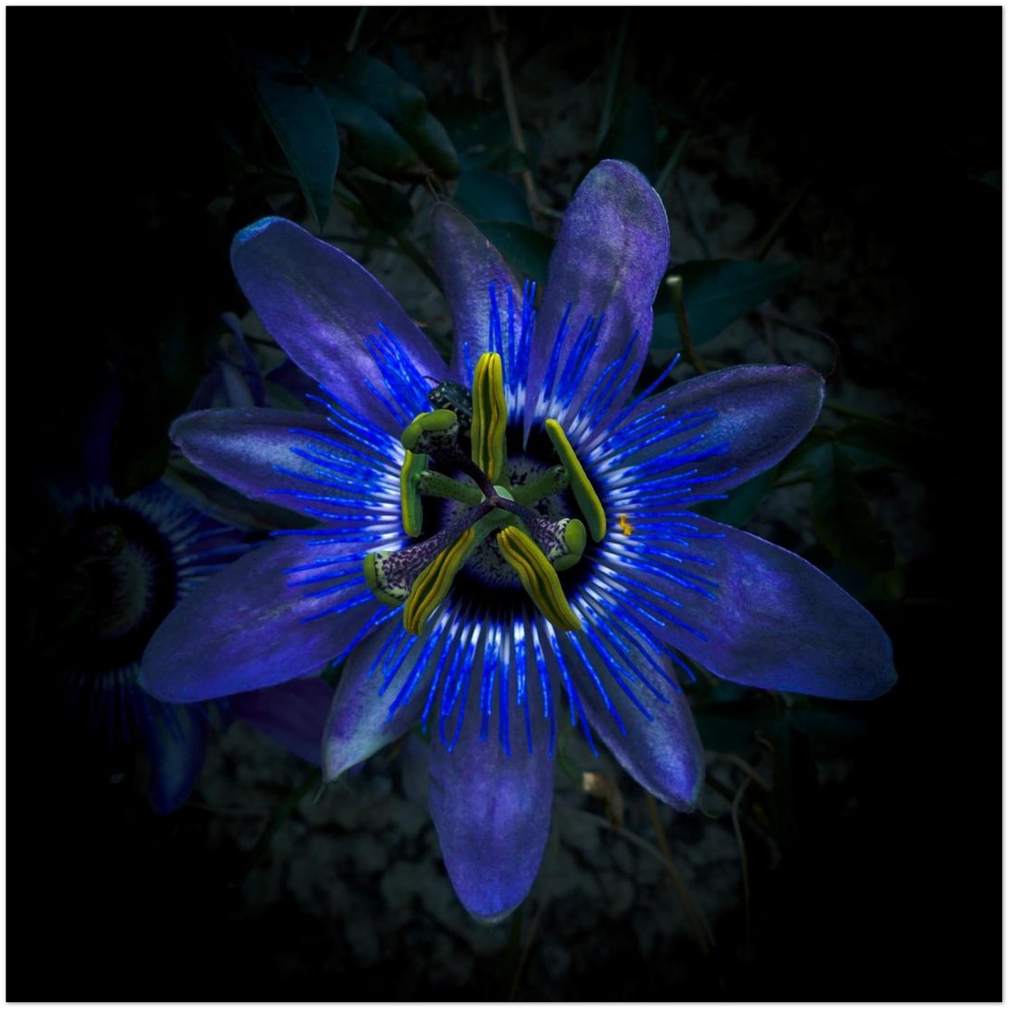 d0b0110c-ad64-45f7-a226-f74a545c6950