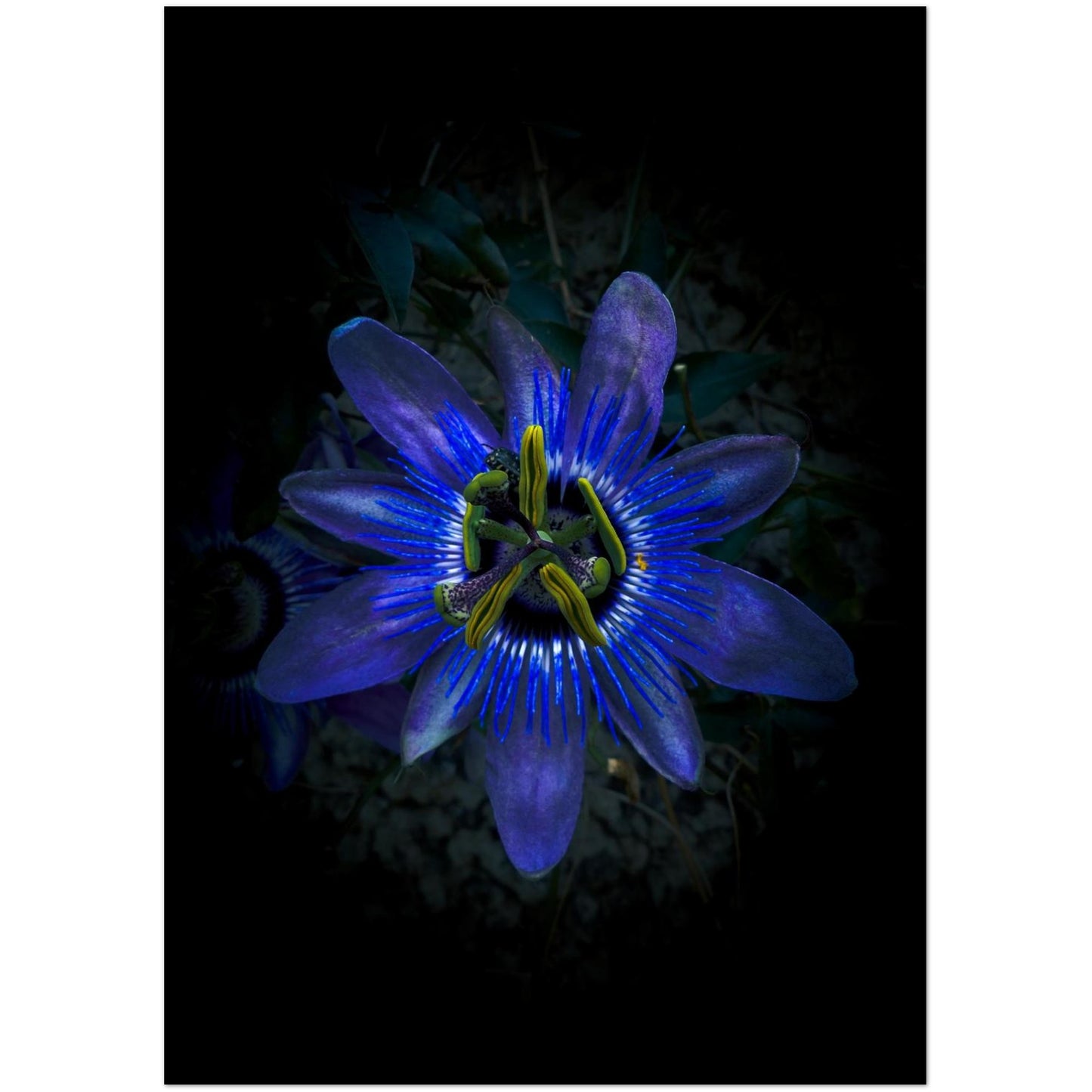 d1c9c877-309c-498c-9451-da616abb28f5