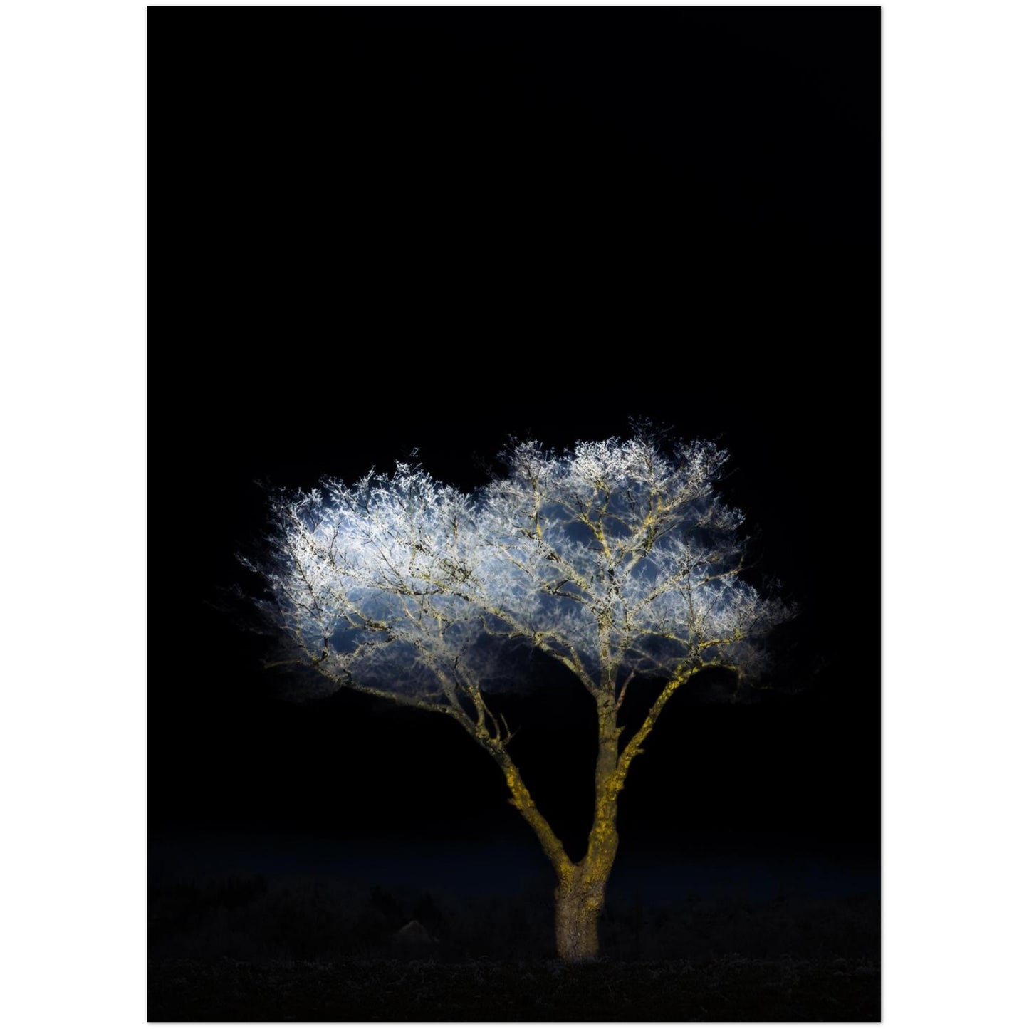 d2c341f1-5a76-4f4f-b4cd-5f00560cb3d7