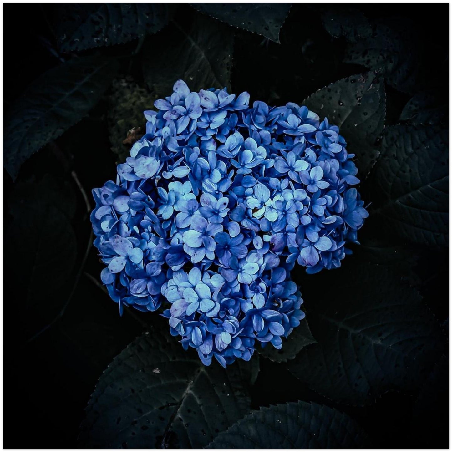 d4a15d70-29be-4739-8912-aa7eb7bcdfb4