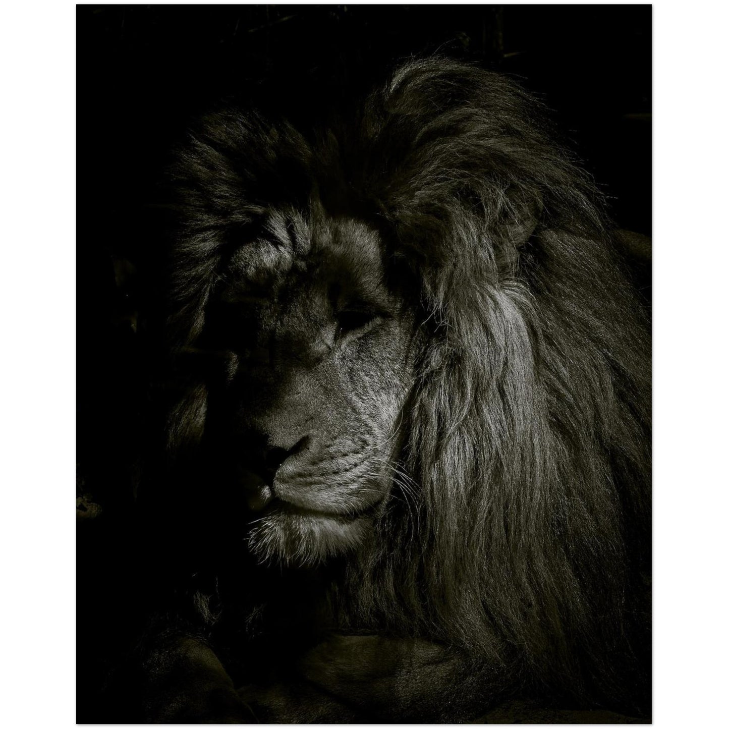 d6a95115-b0b1-4f1c-84af-49227ad027e5