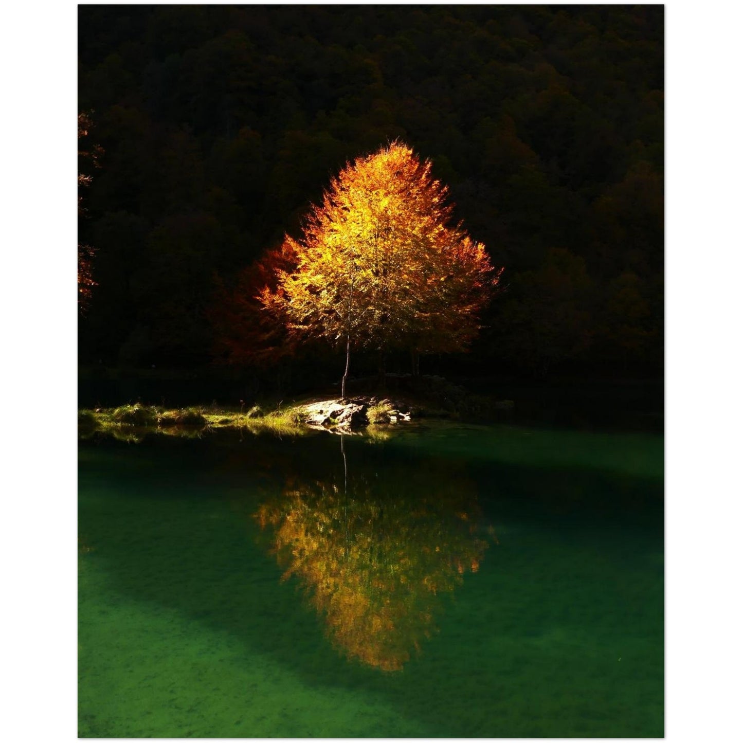 d6cf9dc8-6f9a-477d-a8d5-8d665aa1ab6d