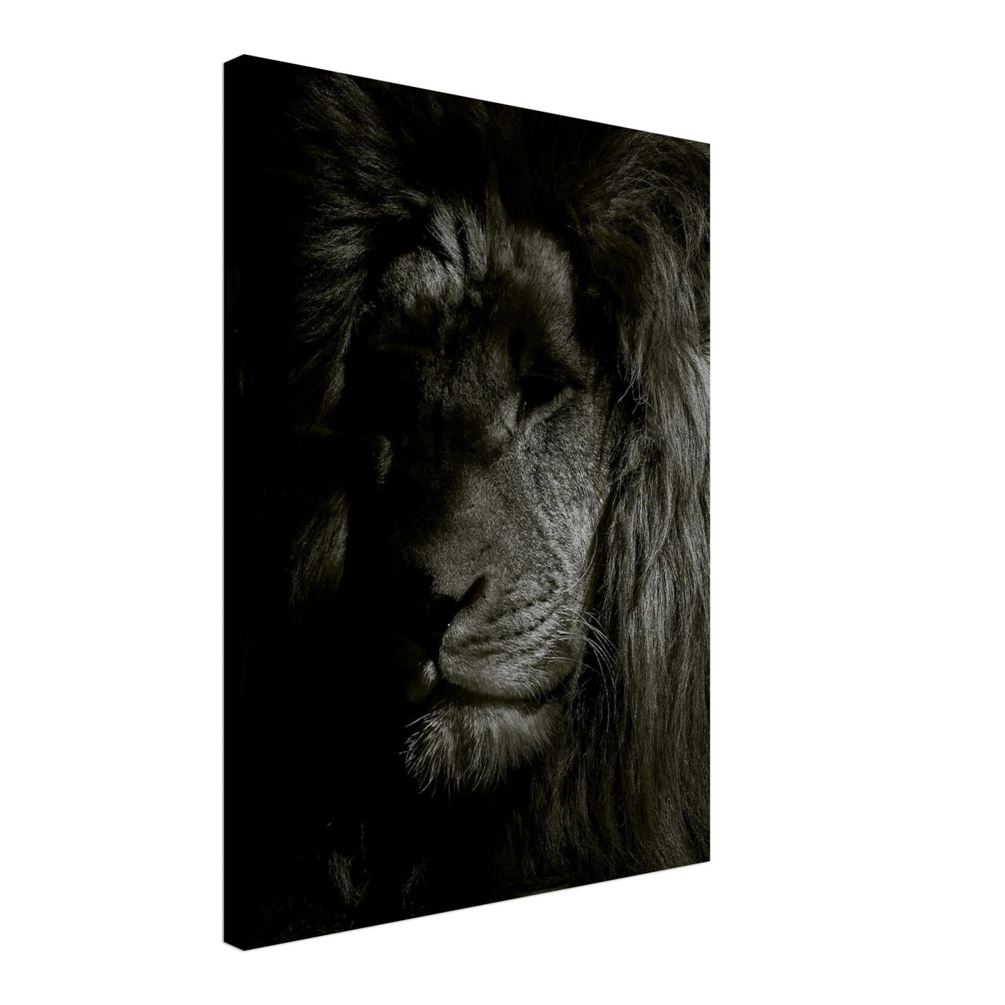 d6ed42c0-cf9b-4026-a48d-7ce805657f37