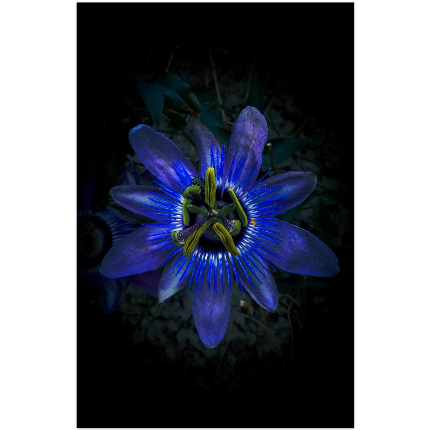 d74e11ca-b76c-419e-a785-a01817e830be