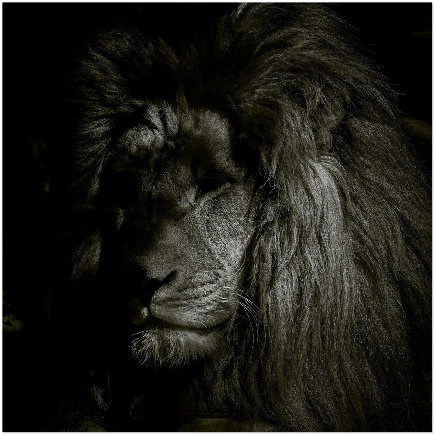 d7de08d3-2f4c-4cca-a193-f91329c3bc81