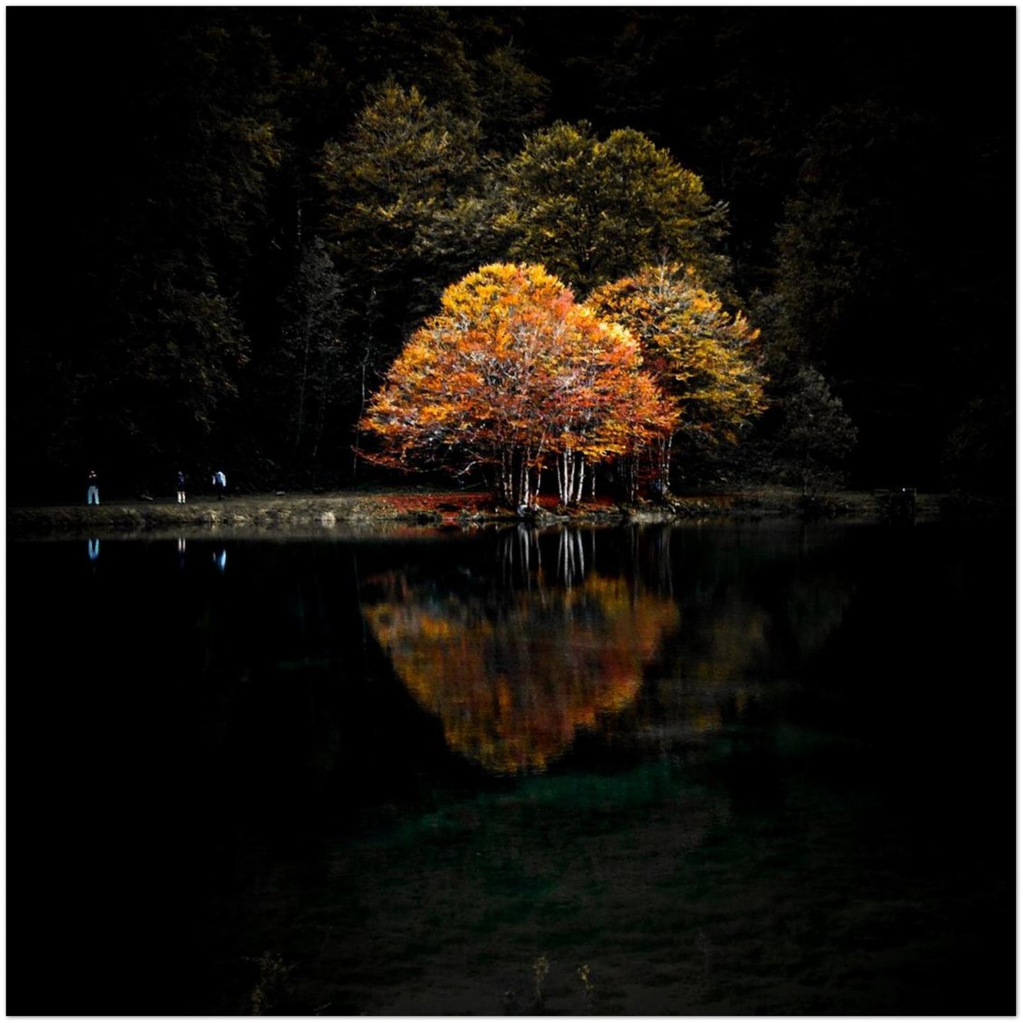 d92b9afb-610d-45ef-85ad-ef0d917f54a0