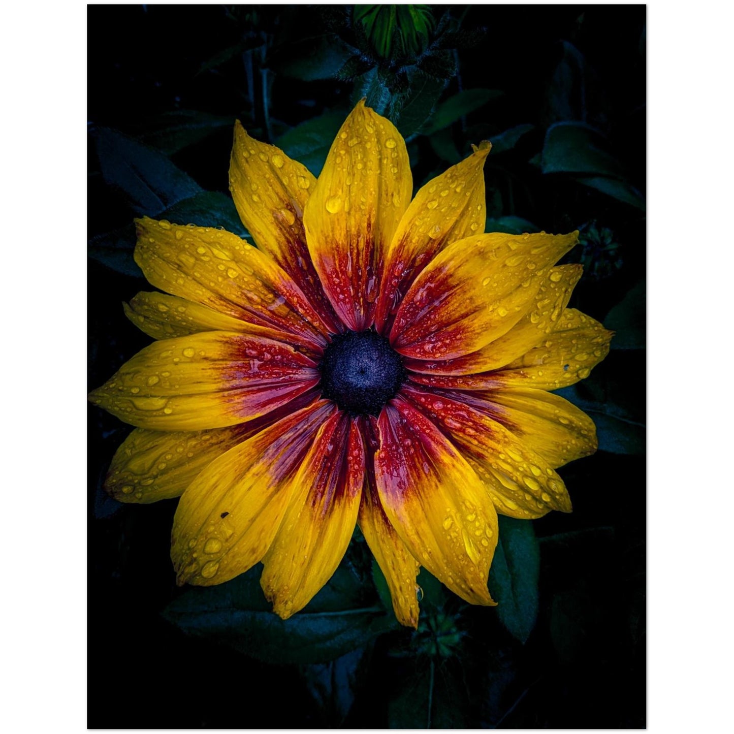 d9461414-241a-4234-a2e9-d3a574a77298