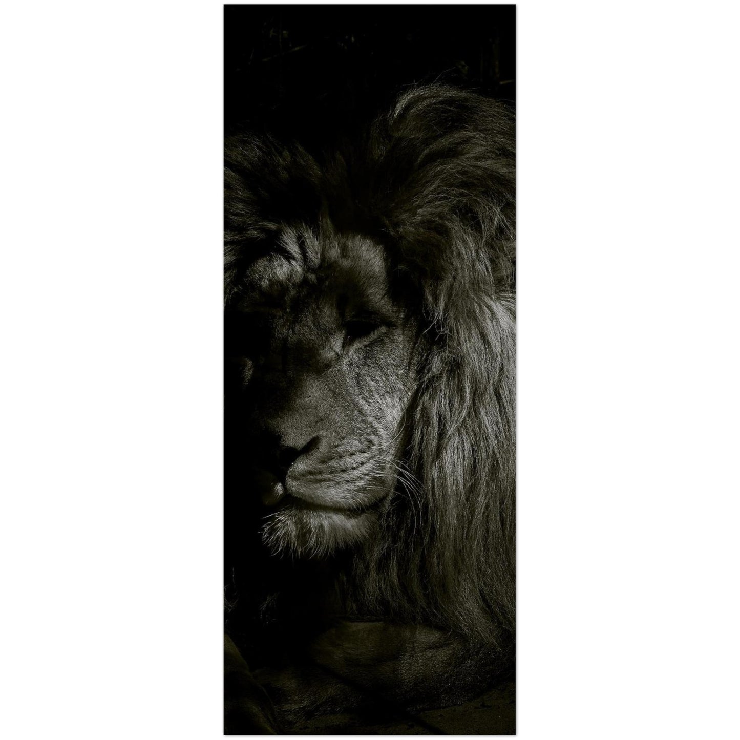 da331cbb-4915-4a62-afe0-8976f7ad19b0