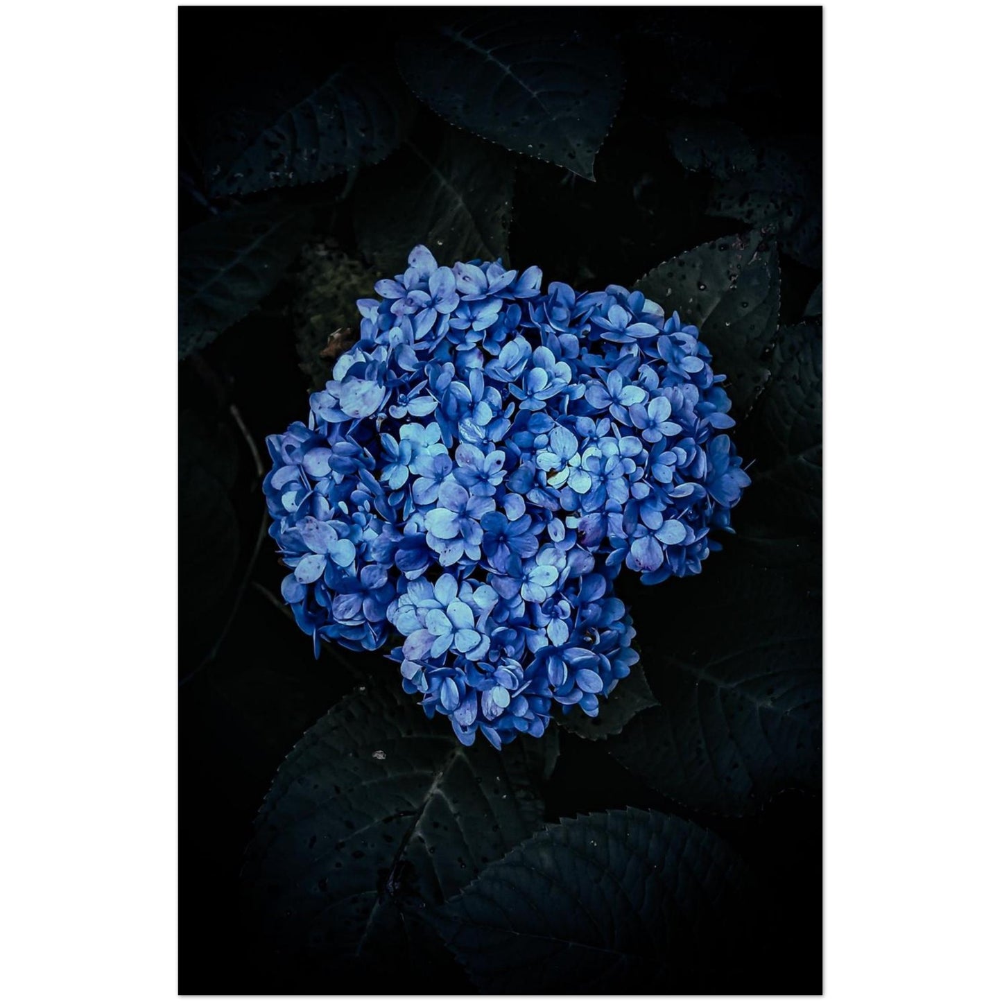 da5b86f8-6077-4850-bd92-fff64fc094e0