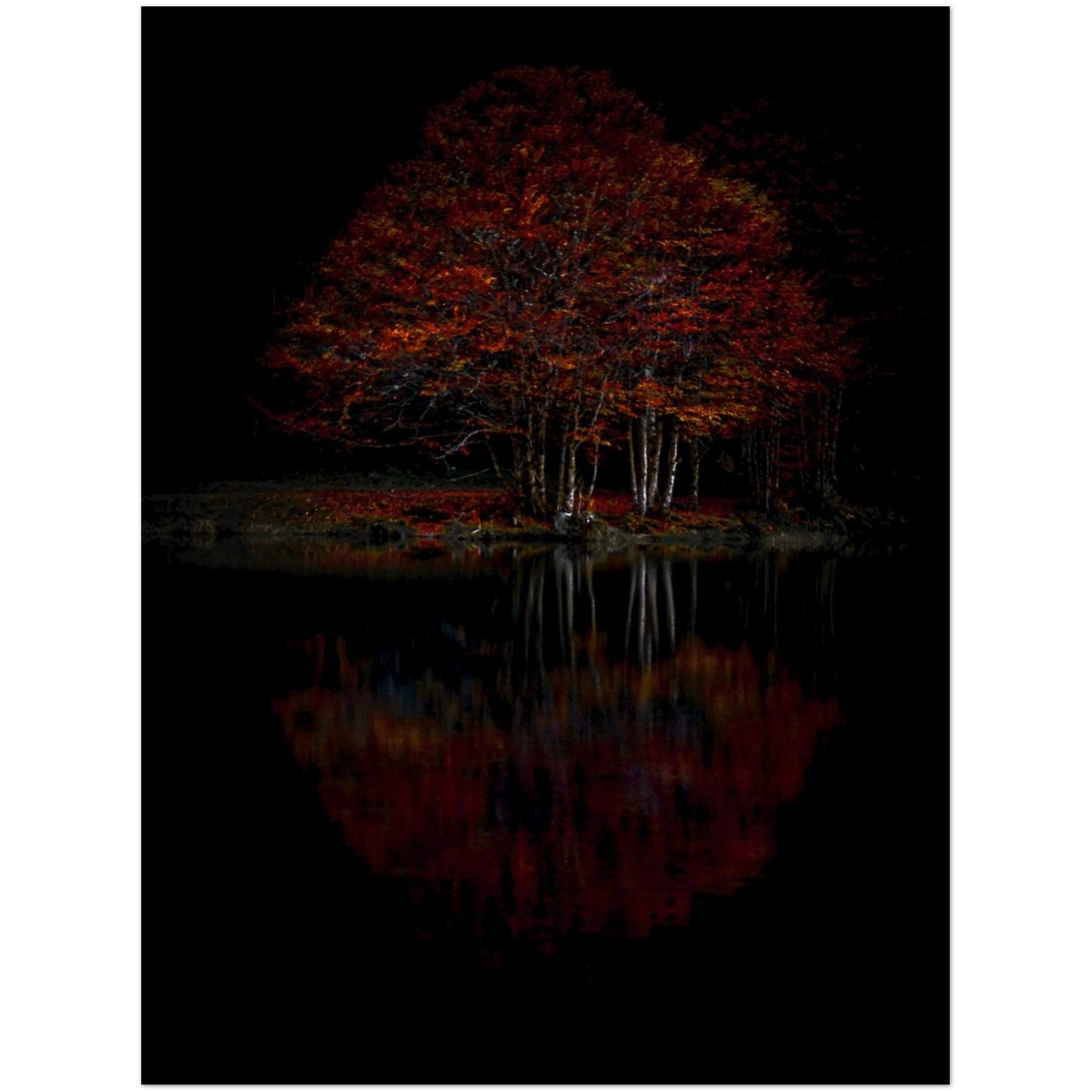 da6ede8b-7b52-4362-b537-58014cf382fb