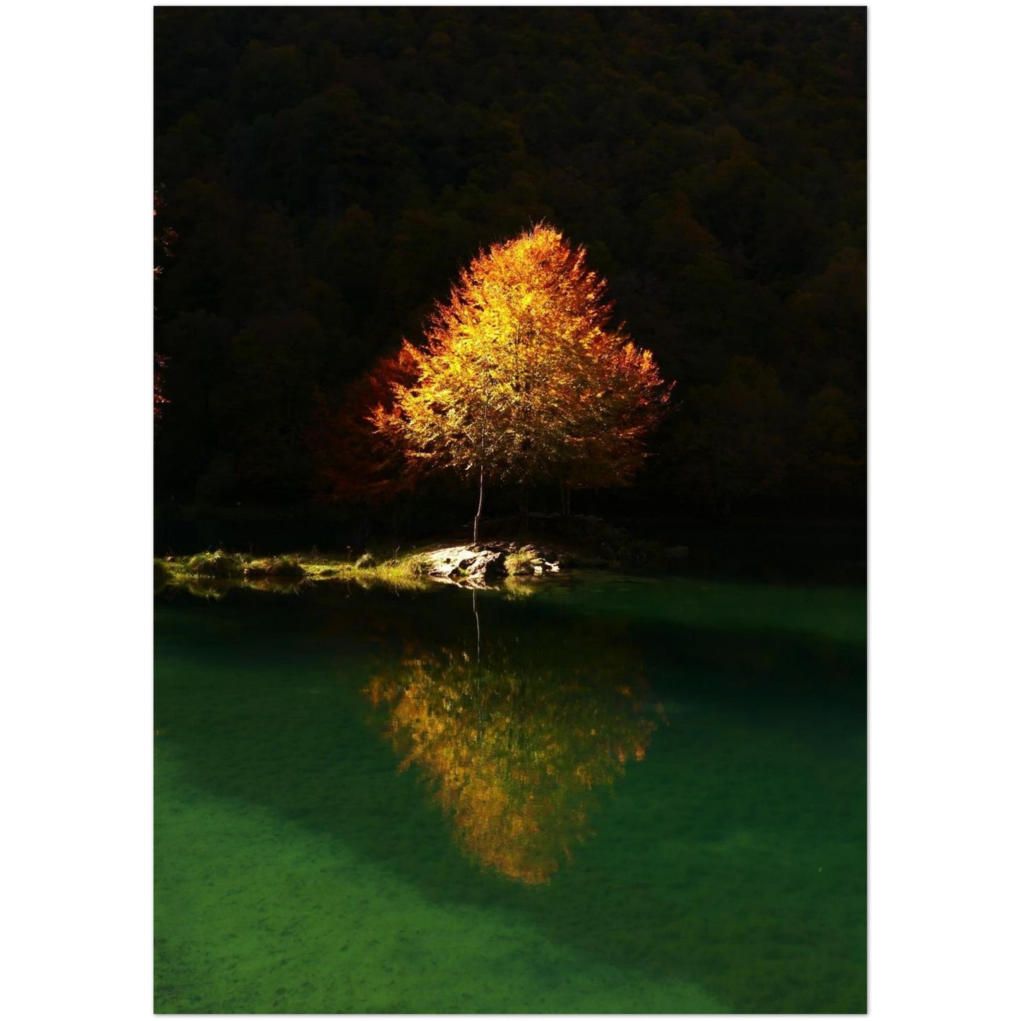 e1309585-bce9-42a5-a864-b17e041738d7