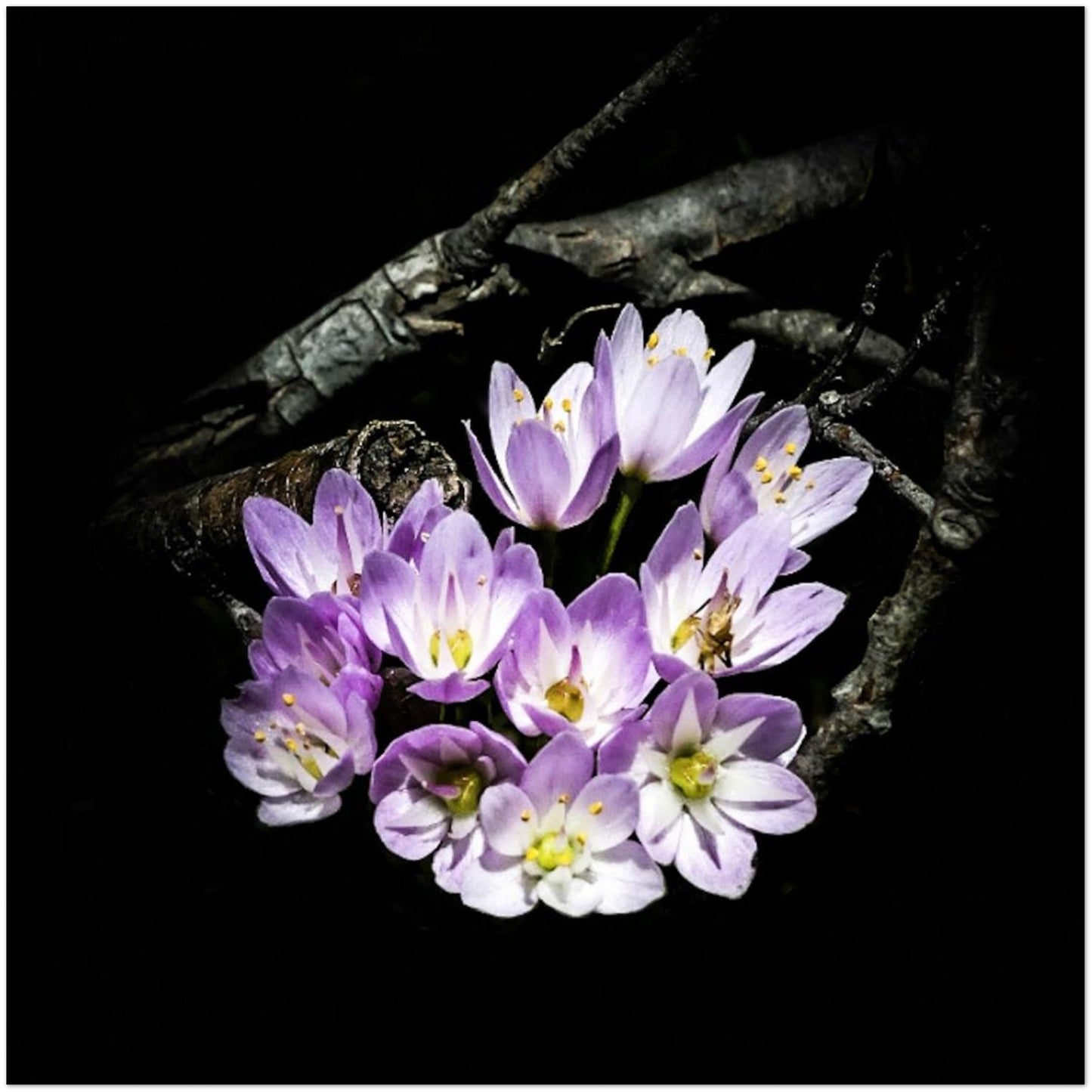 e20ae6fa-f111-47b6-89c2-f033aa045cfc