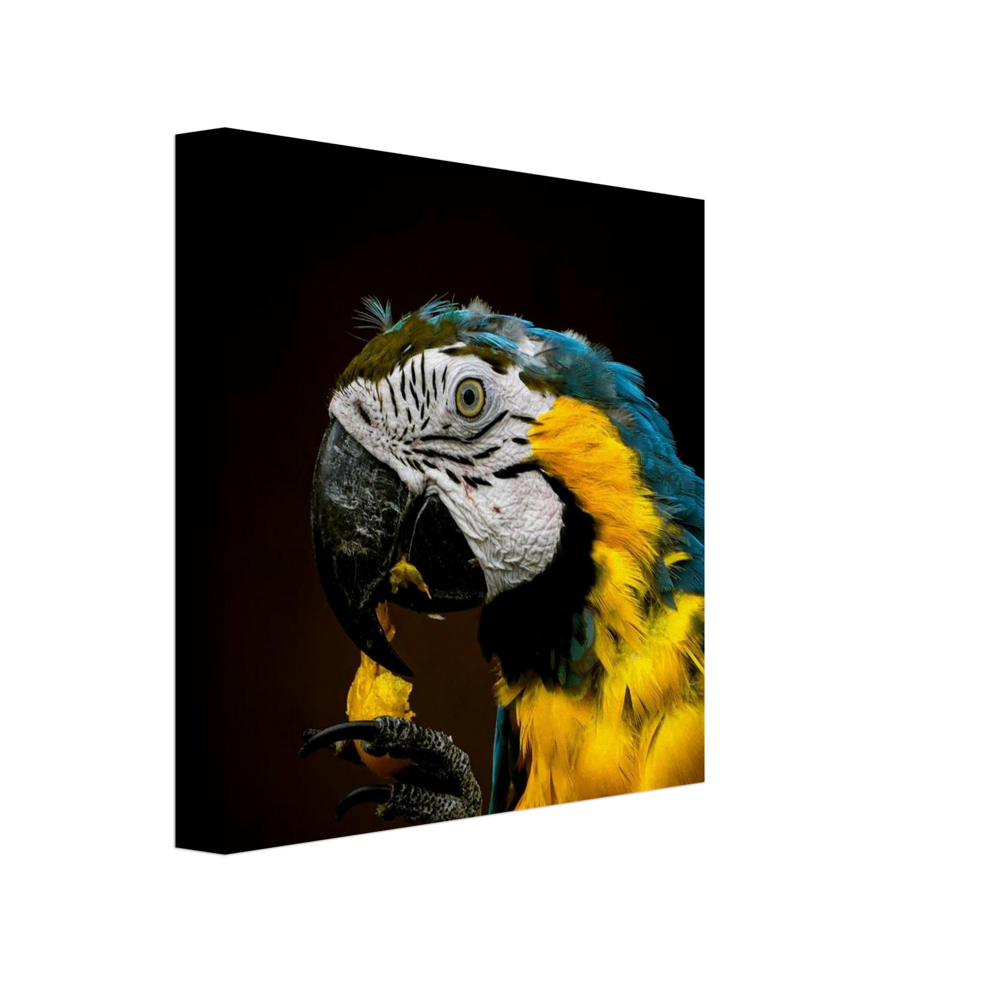 e22329be-0d66-4912-8c7e-5ceced042729