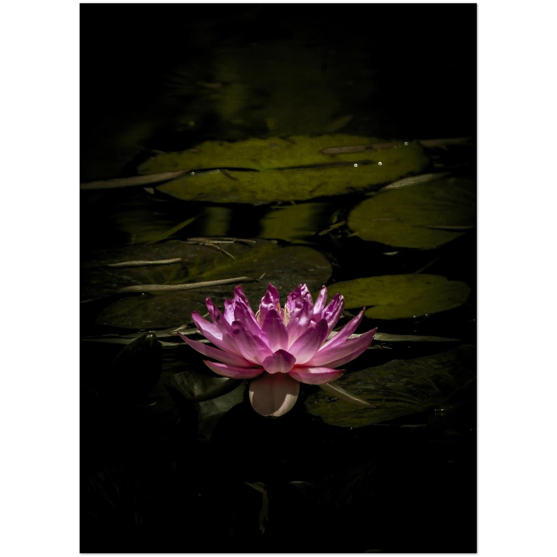 e253c81d-e21e-4ef4-8e61-2c07ccfb7e76