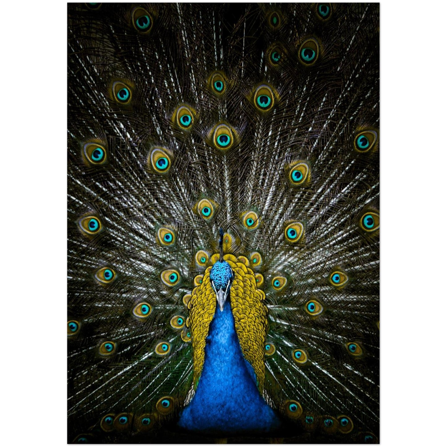 e294fca2-dd8b-4904-b68d-e6e3d8ba3017