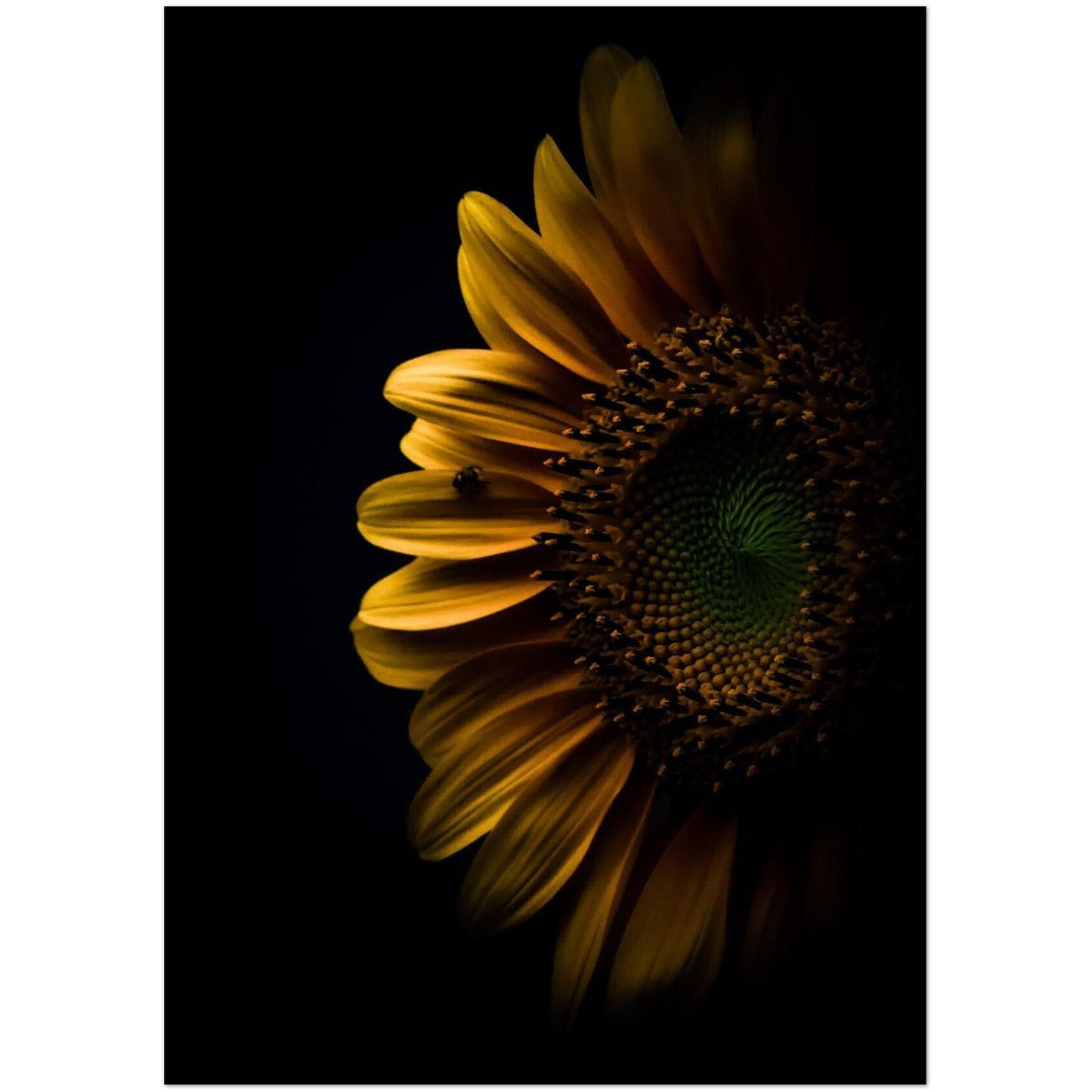 e363b62a-6760-431e-bffc-01e3cc9fcef9